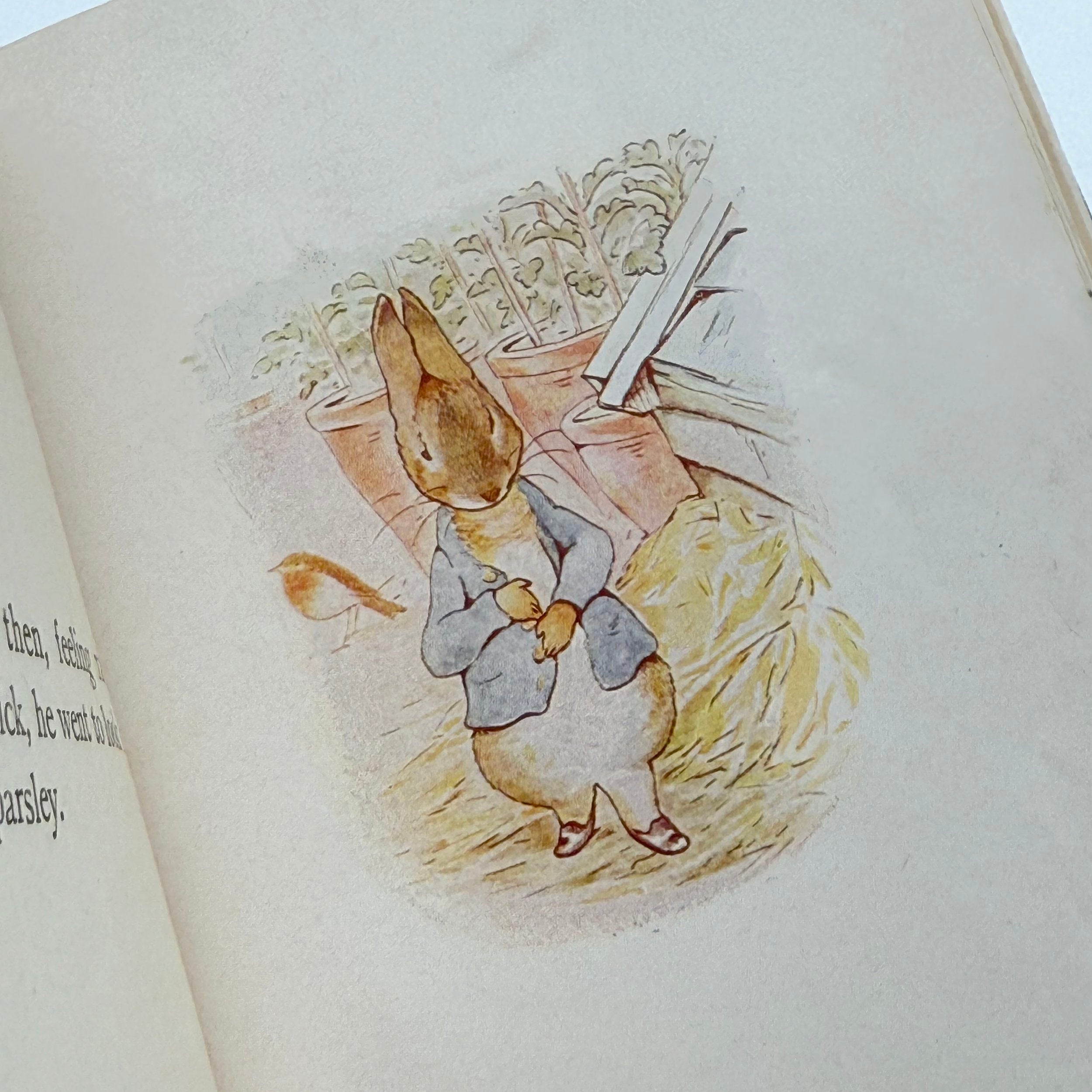 Illustration of a rabbit character from a book with a white background