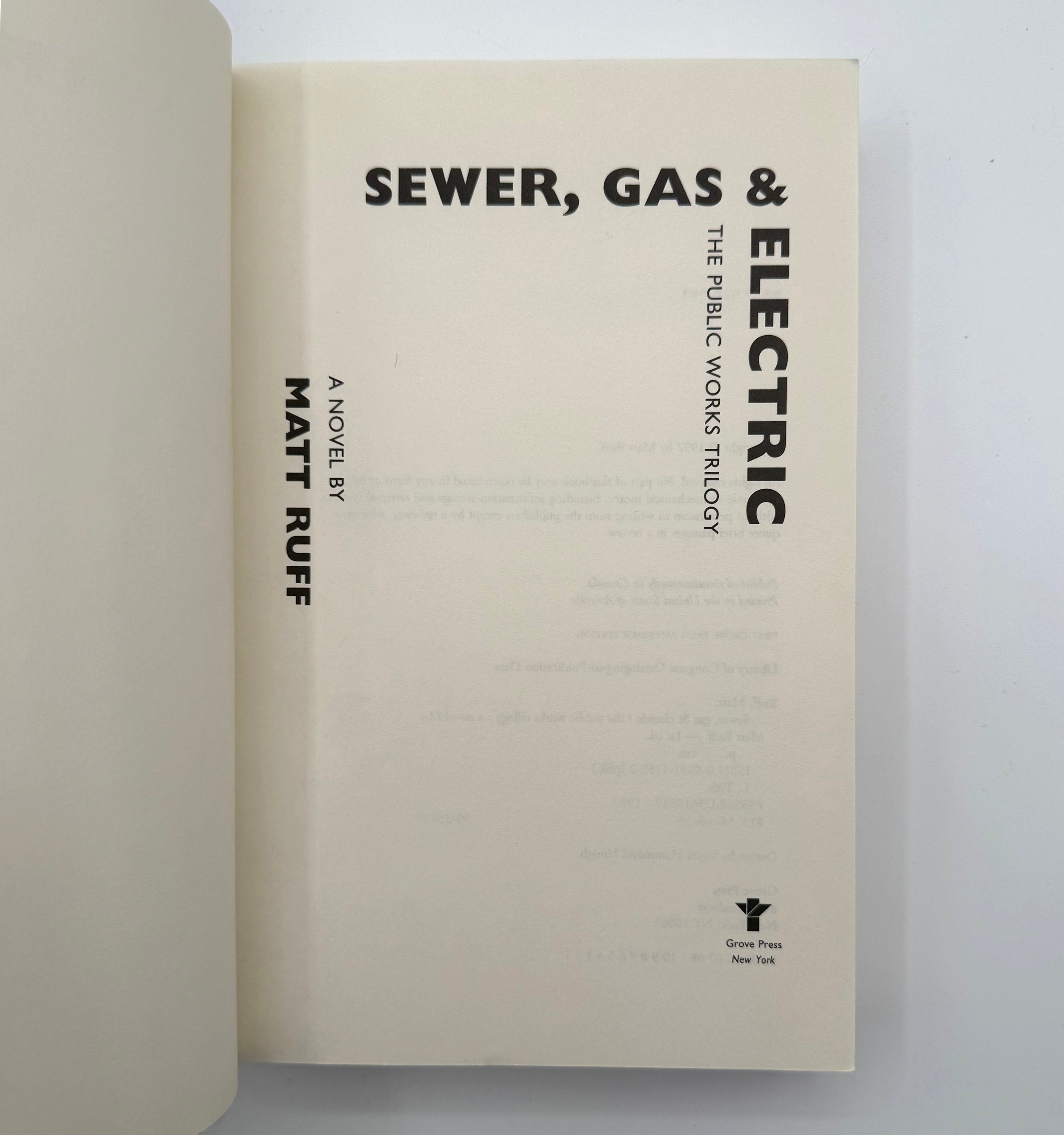 Book titled 'Sewer, Gas & Electric' by Matt Ruff on a light gray background