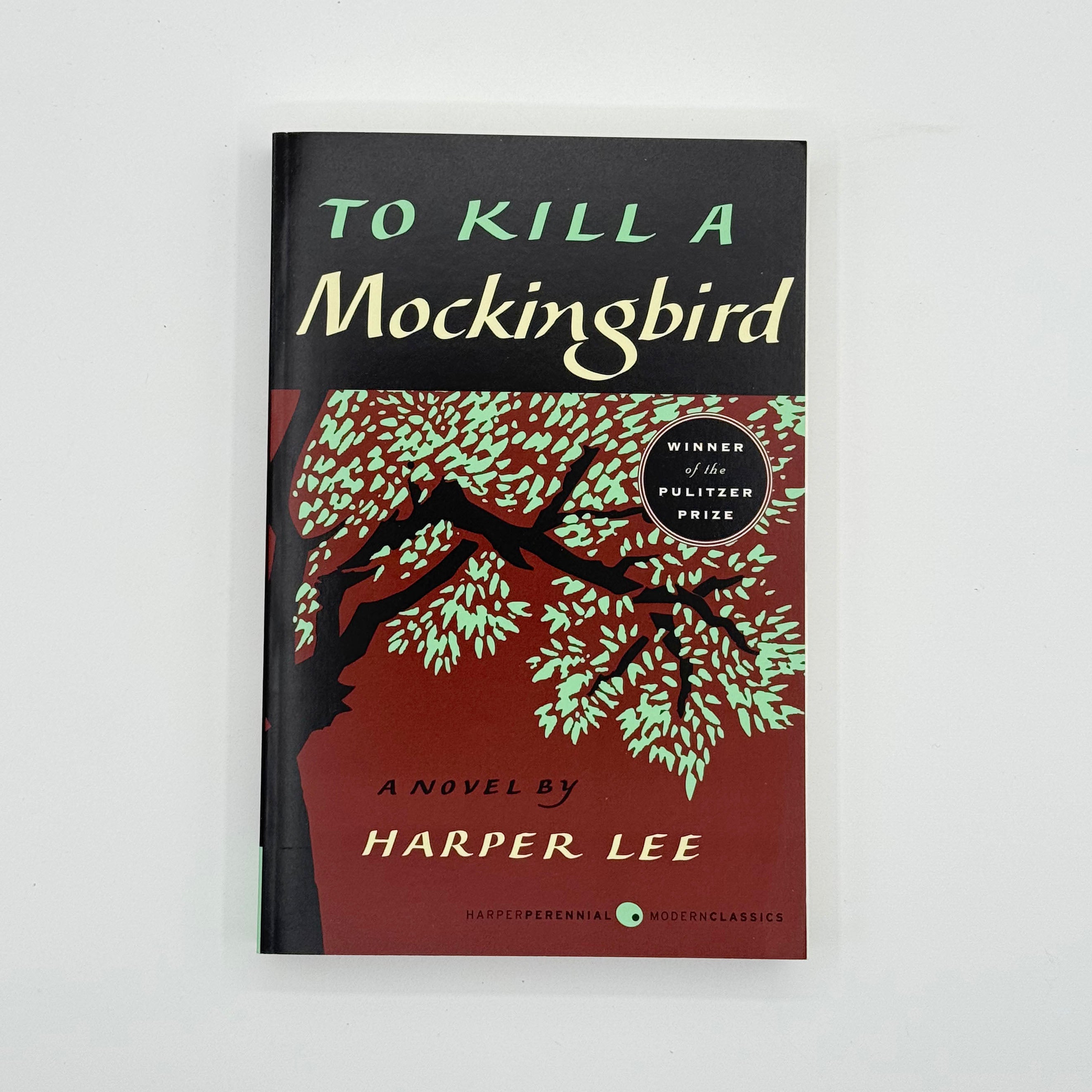 Book cover of 'To Kill a Mockingbird' by Harper Lee on a white background