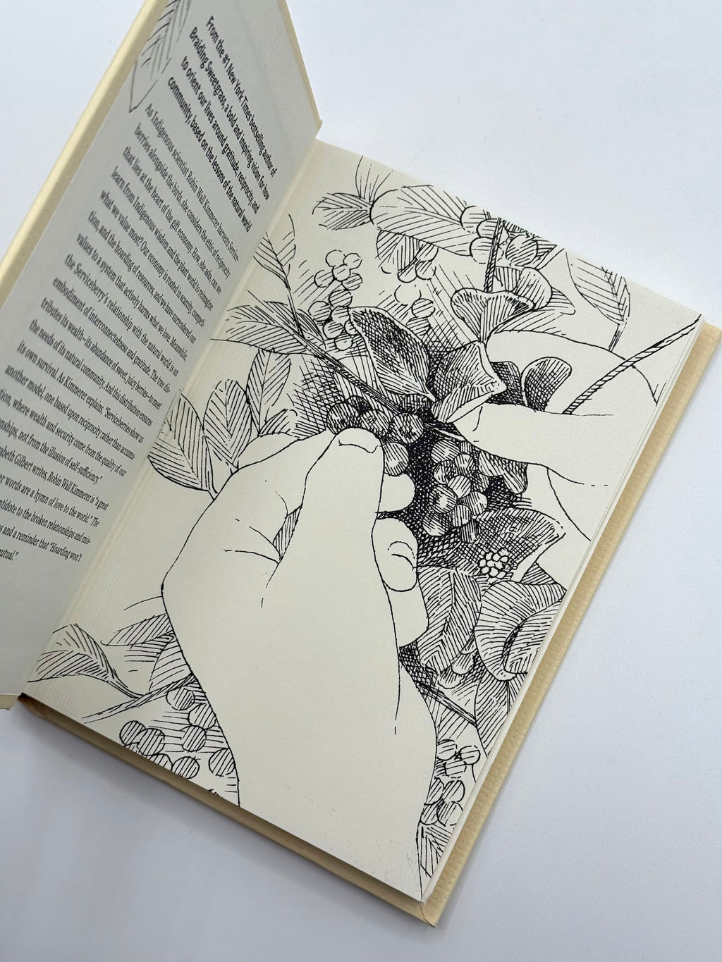Illustration of a hand holding flowers on an open book