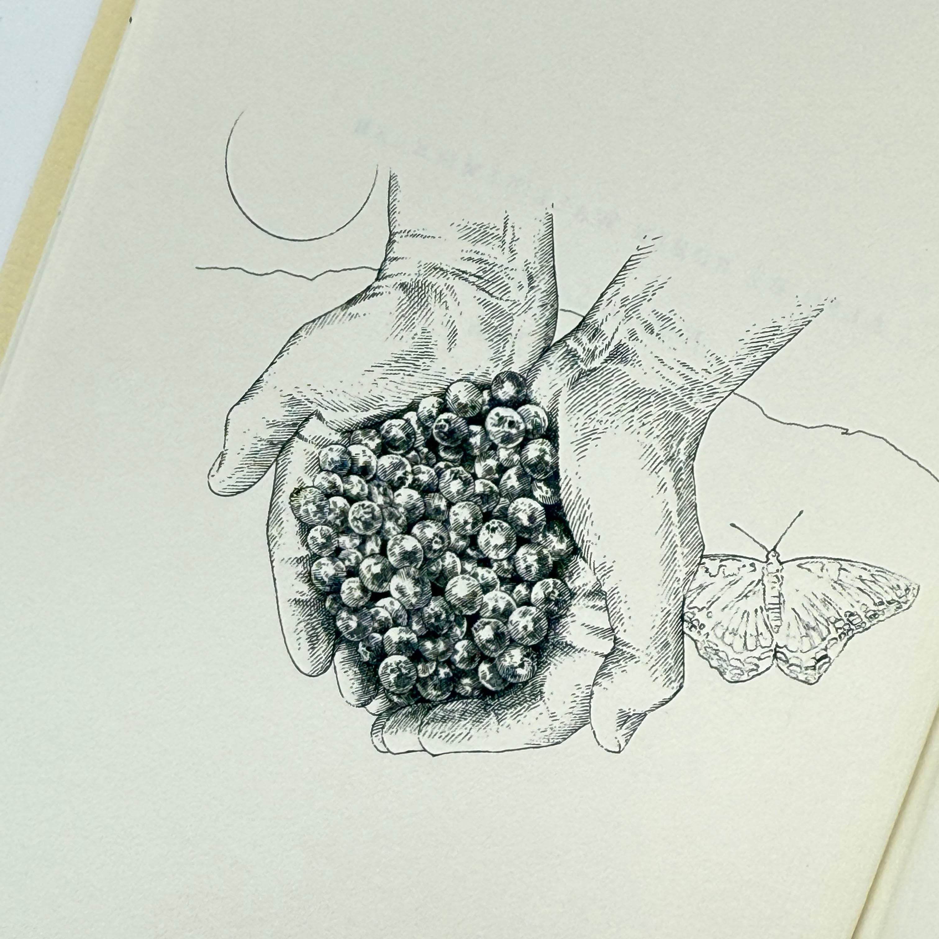 Illustration of hands holding a cluster of berries with a butterfly in the background.