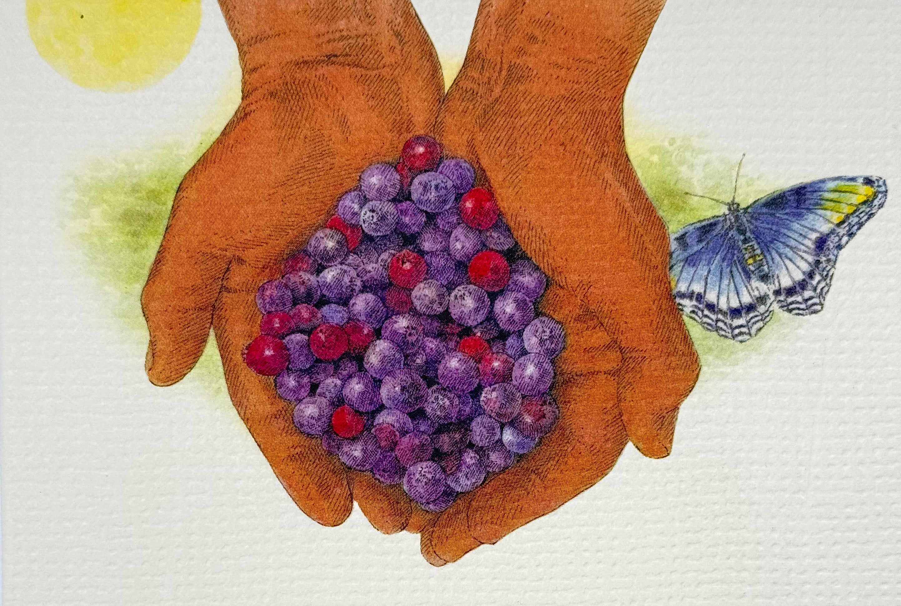 Illustration of hands holding purple and red berries with a butterfly on a light background