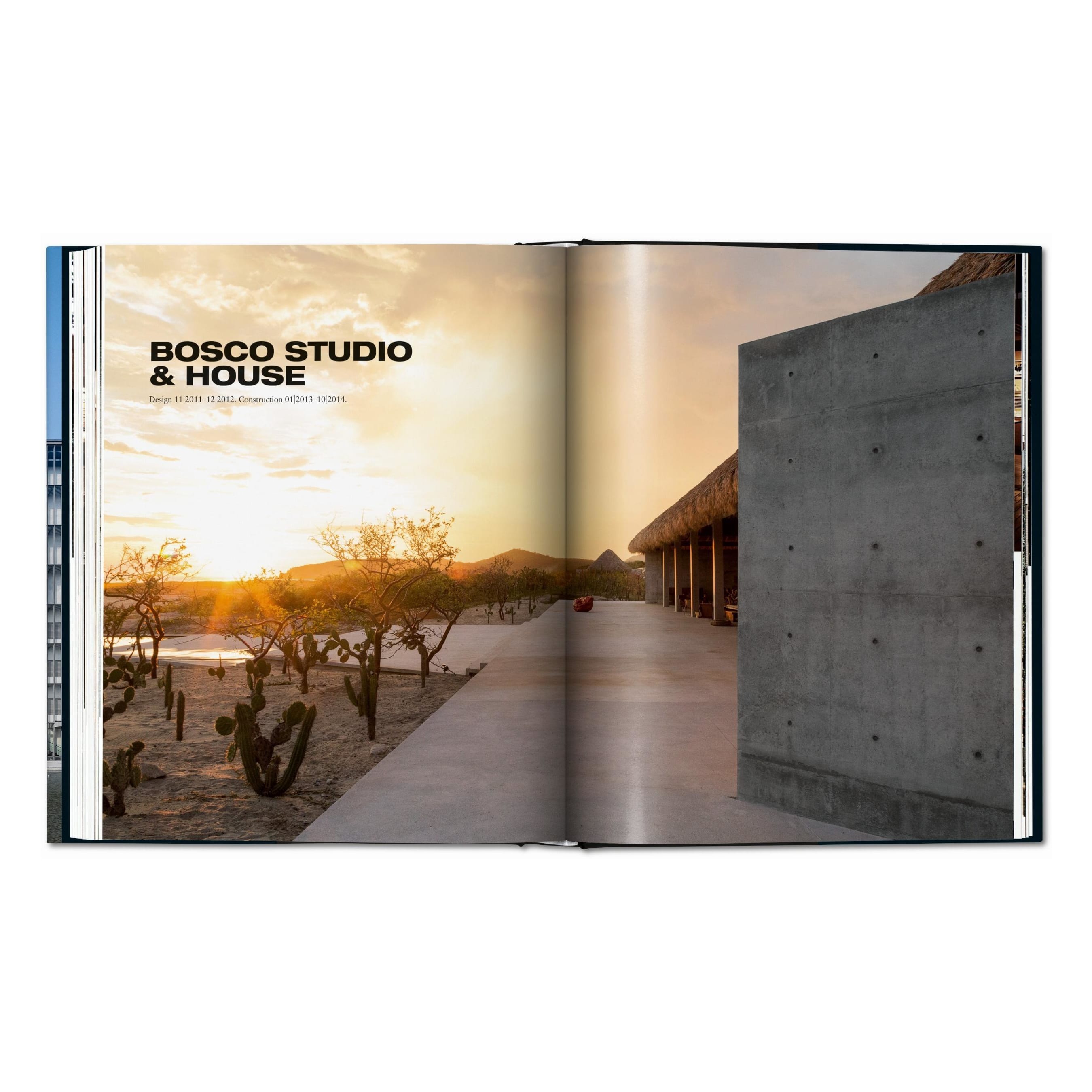 Ando: Complete Works 1975–Today (German, French, English)