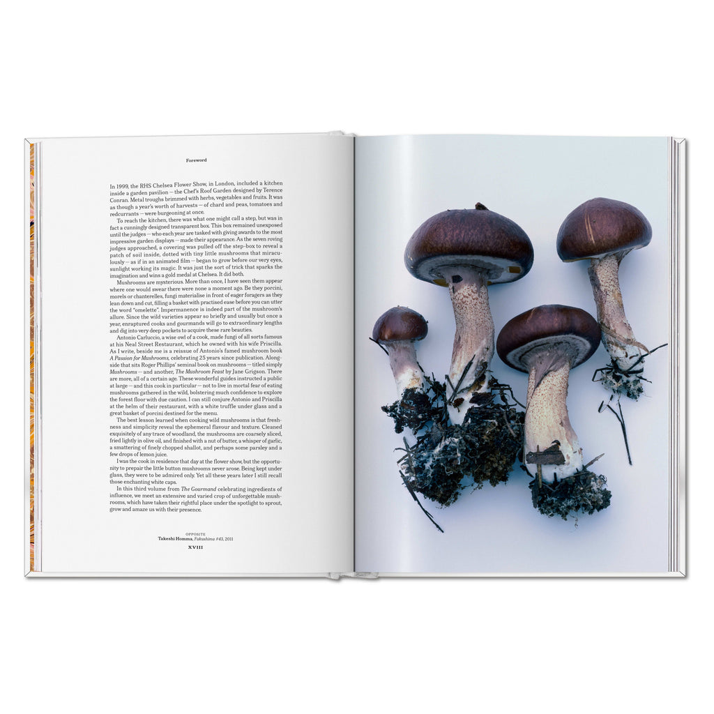 The Gourmand's Mushroom: A Collection of Stories and Recipes (English)