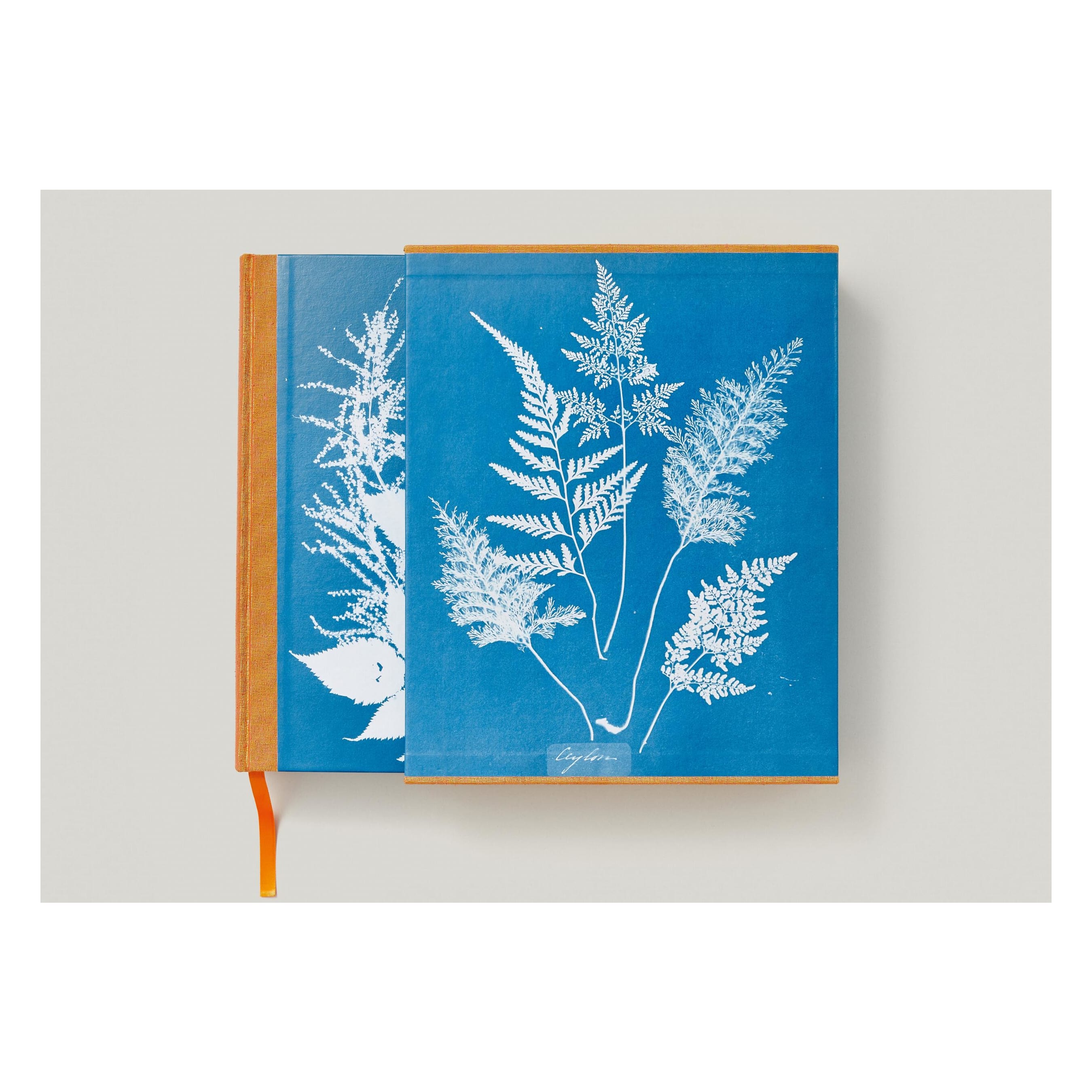 Anna Atkins. Cyanotypes (German, French, English)