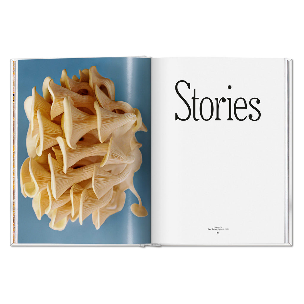 The Gourmand's Mushroom: A Collection of Stories and Recipes (English)