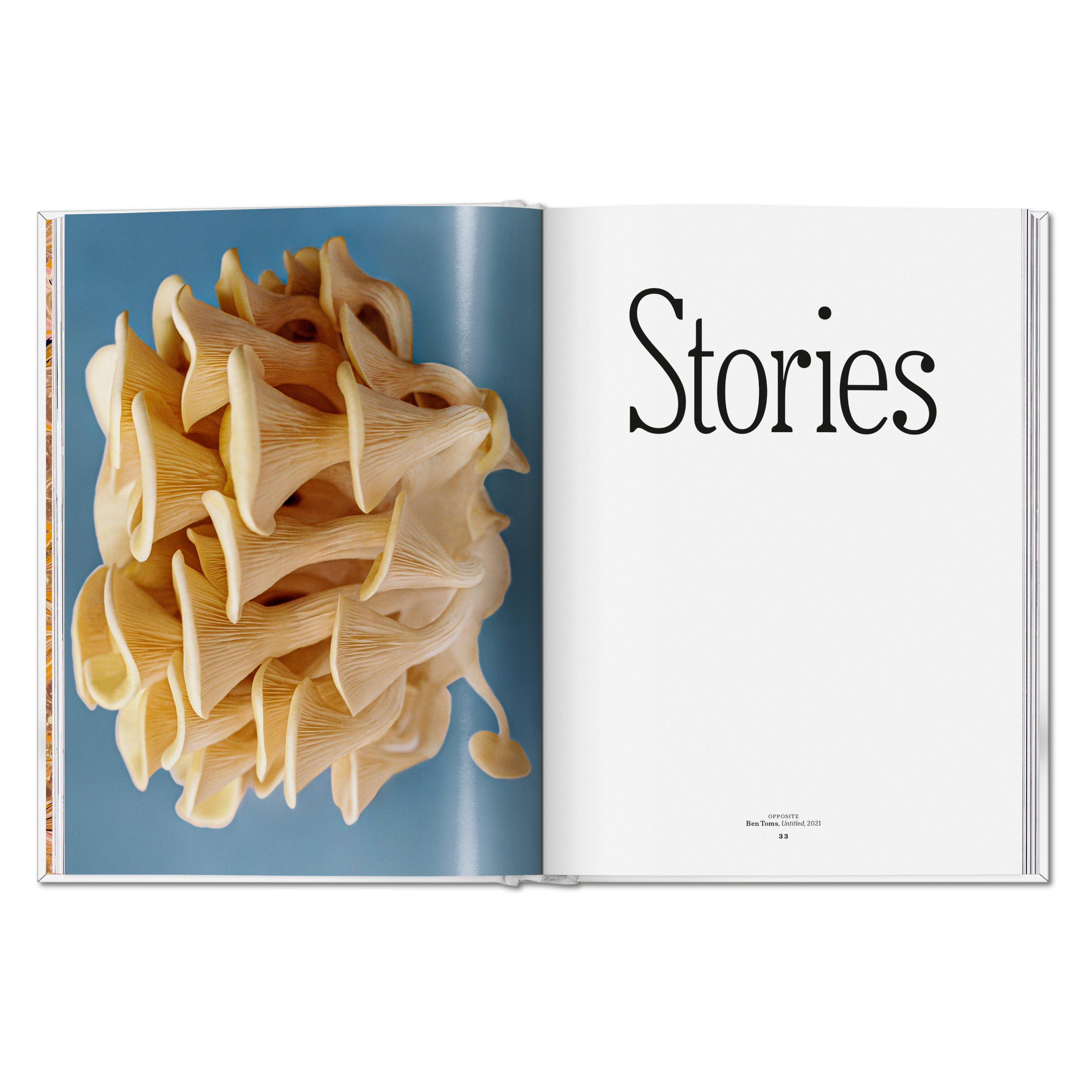 The Gourmand's Mushroom: A Collection of Stories and Recipes (English)