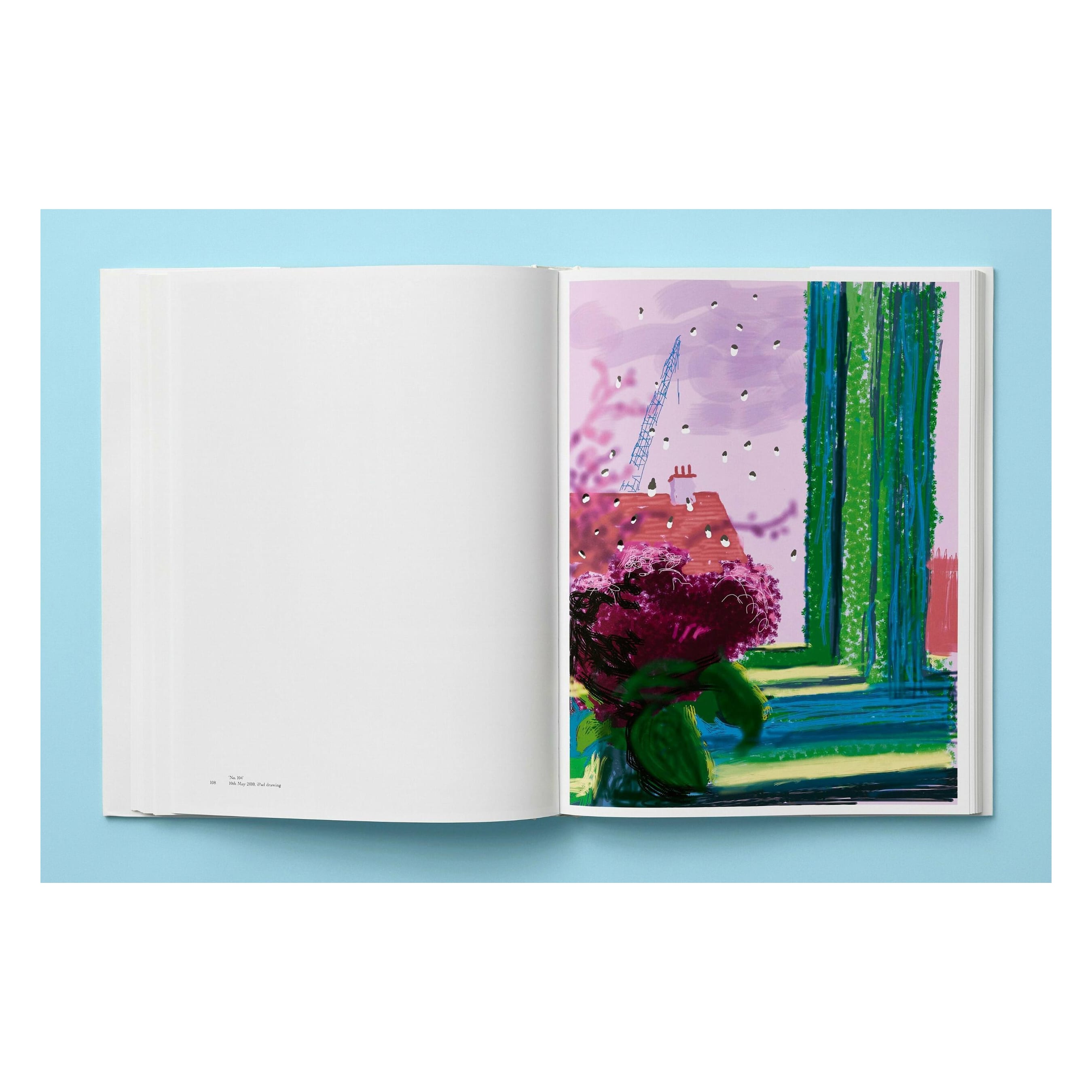 David Hockney: My Window