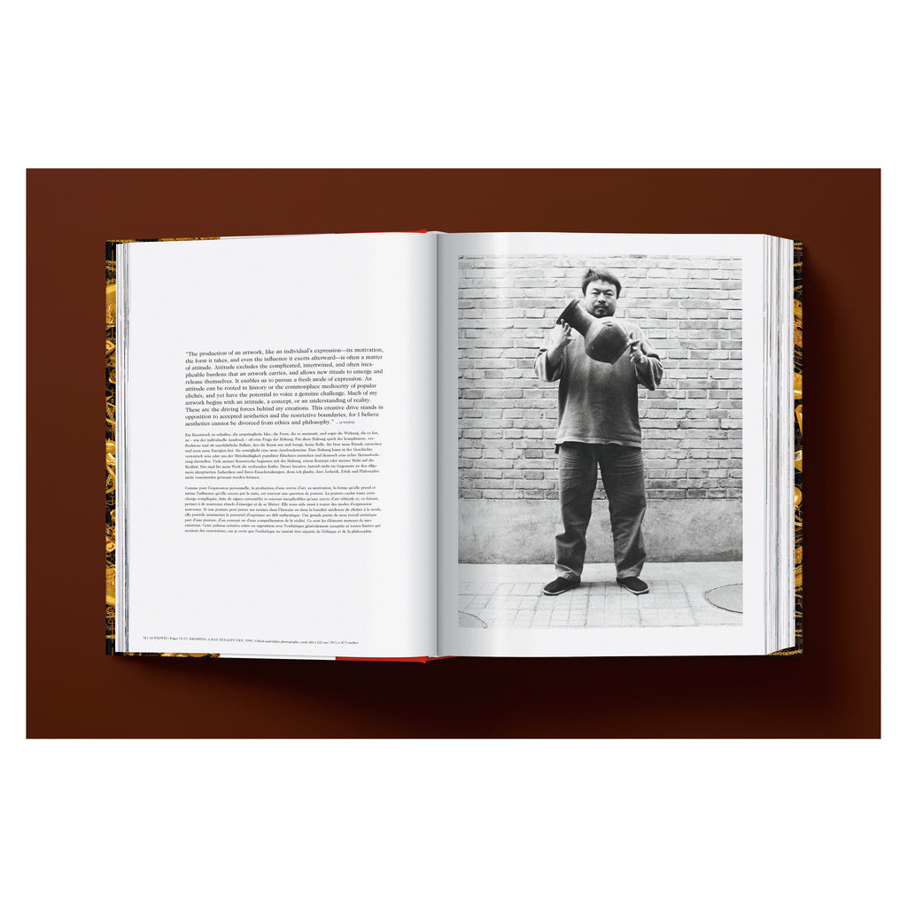 Ai Weiwei: Updated Edition (German, French, English)