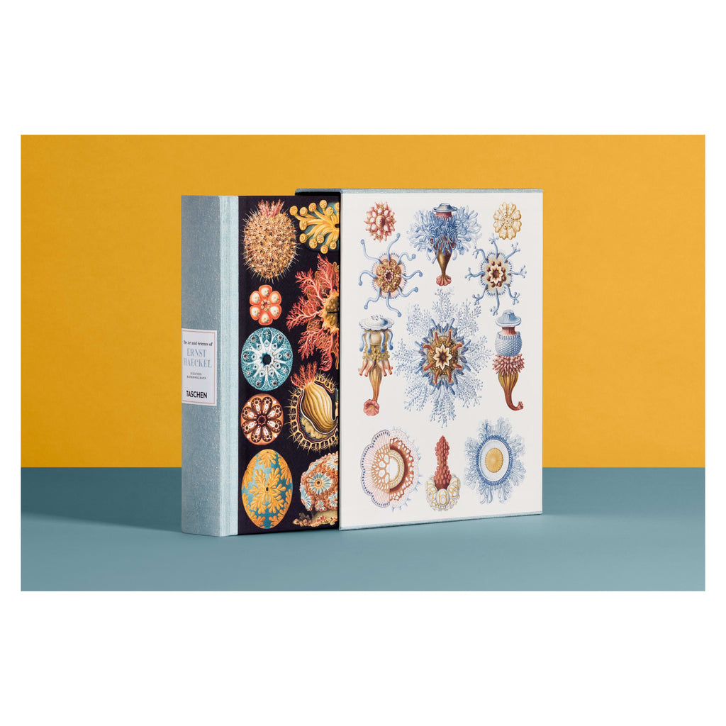 The Art and Science of Ernst Haeckel (German, French, English)