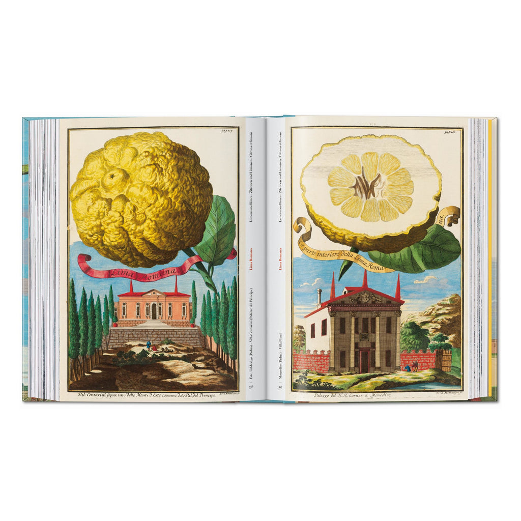 J. C. Volkamer: The Book of Citrus Fruits, 45th Ed. (German, French, English)