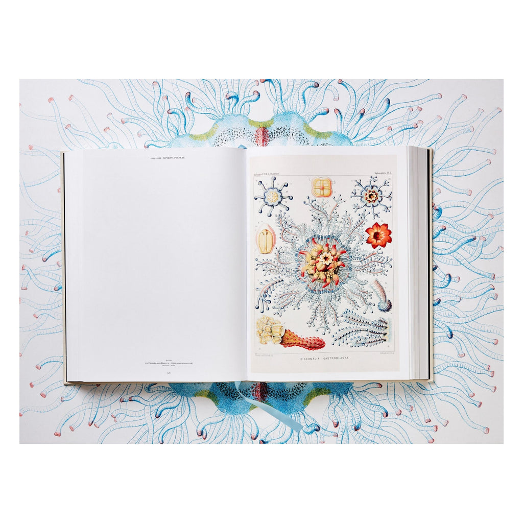 The Art and Science of Ernst Haeckel (German, French, English)