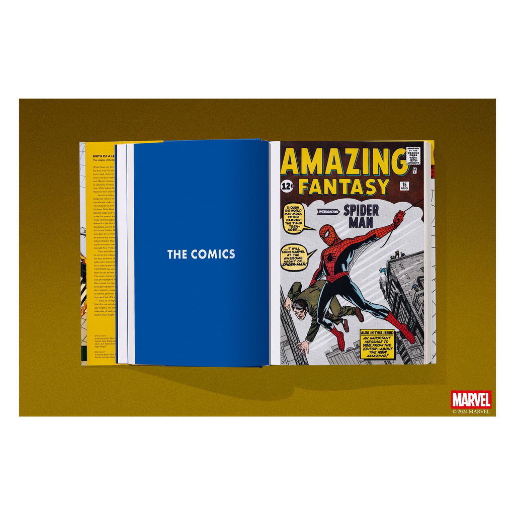 Marvel Comics Library: Spider-Man. 1962–1964