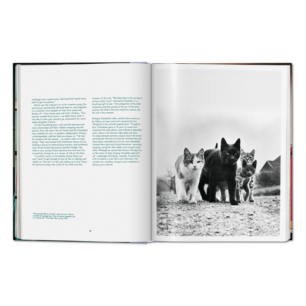 Walter Chandoha: Cats, Photographs 1942–2018 (German, French, English)