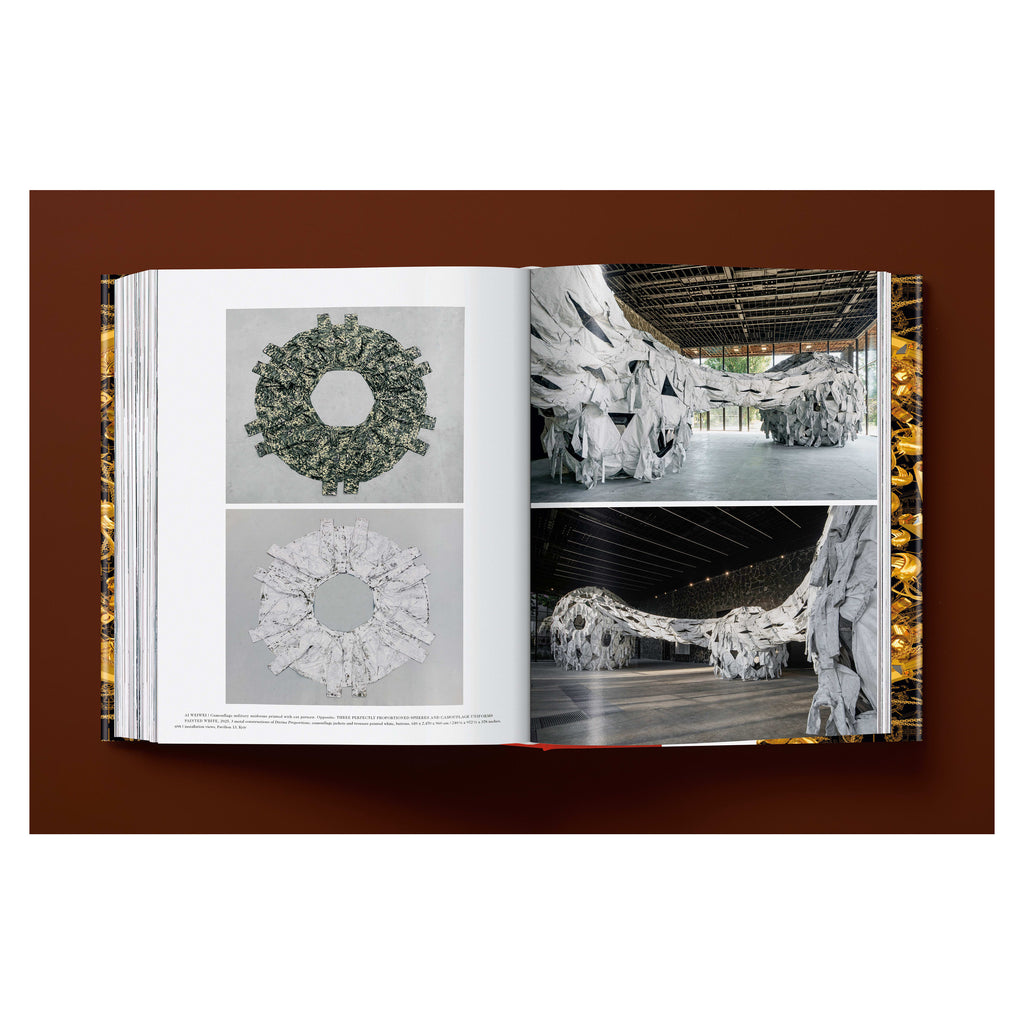 Ai Weiwei: Updated Edition (German, French, English)