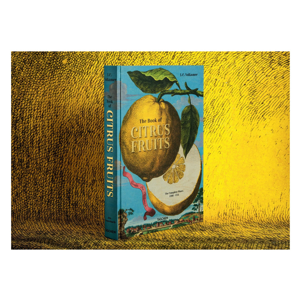 J. C. Volkamer: The Book of Citrus Fruits (German, French, English)