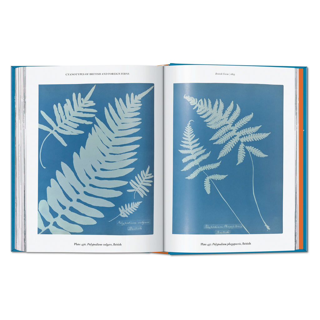 Anna Atkins. Cyanotypes: 45th Ed. (German, French, English)