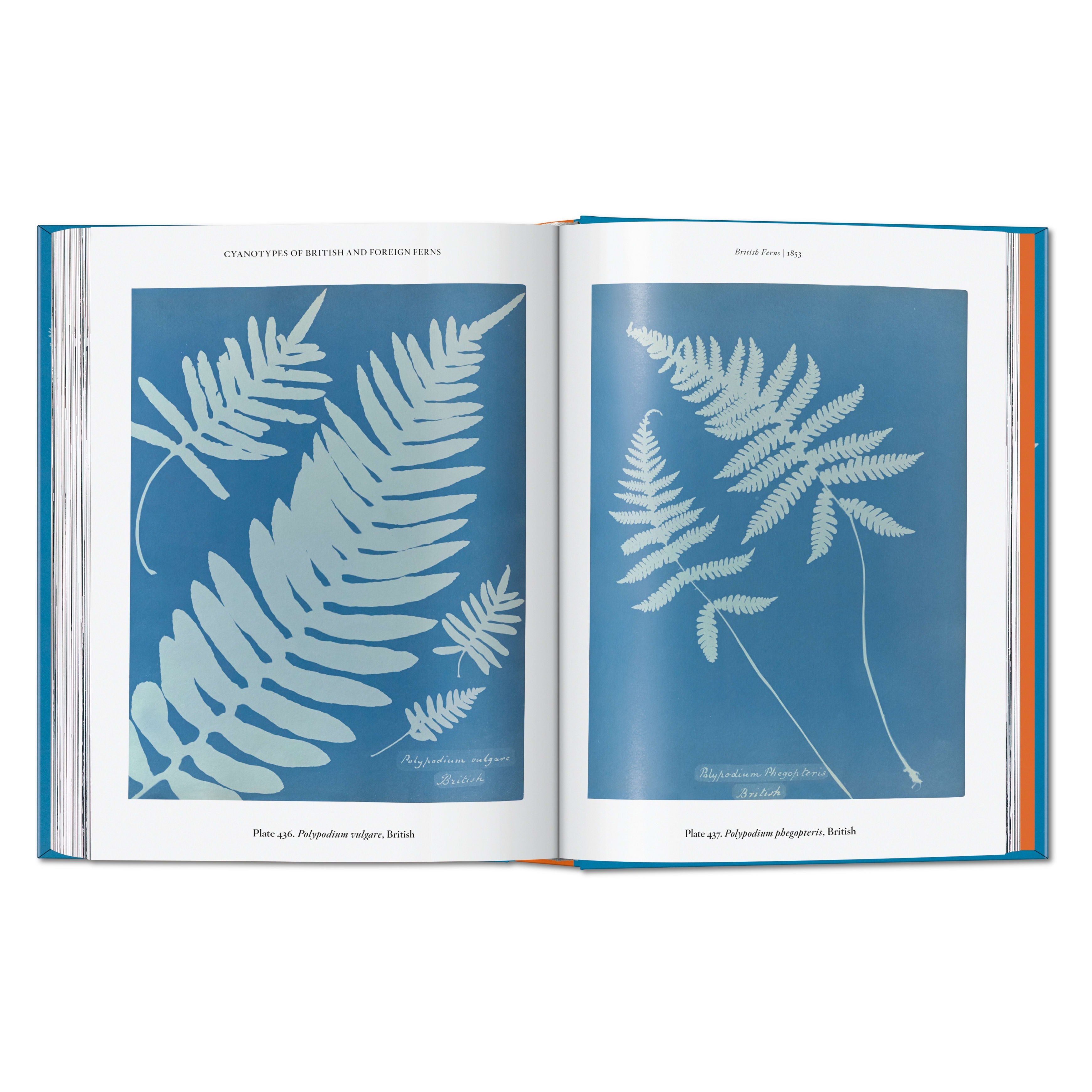 Anna Atkins. Cyanotypes: 45th Ed. (German, French, English)