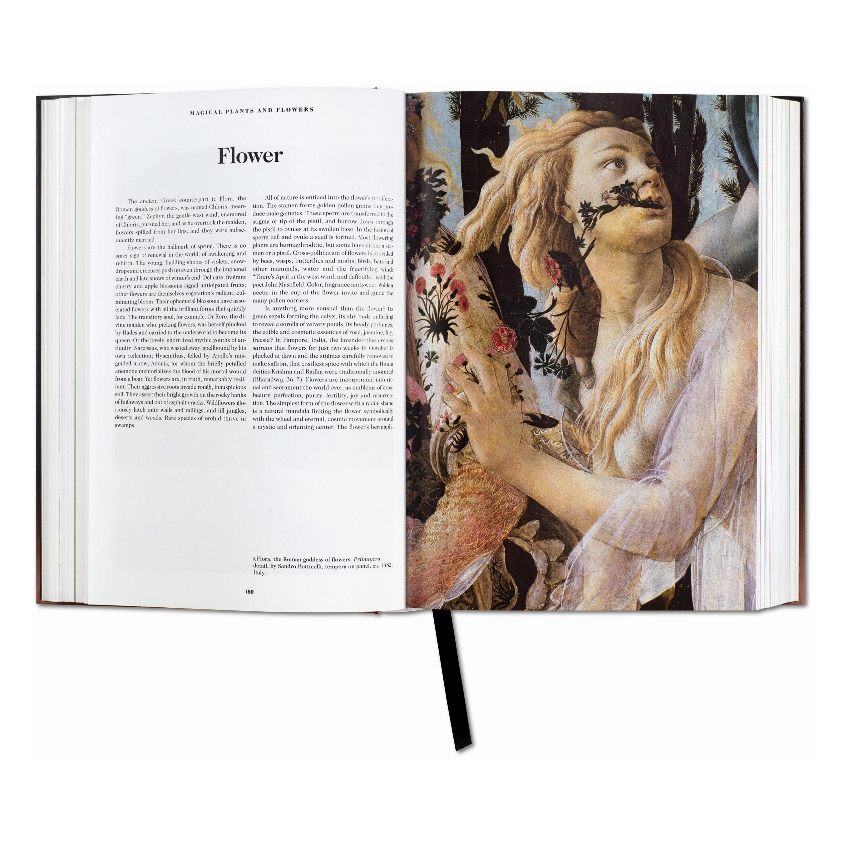 The Book of Symbols: Reflections on Archetypal Images