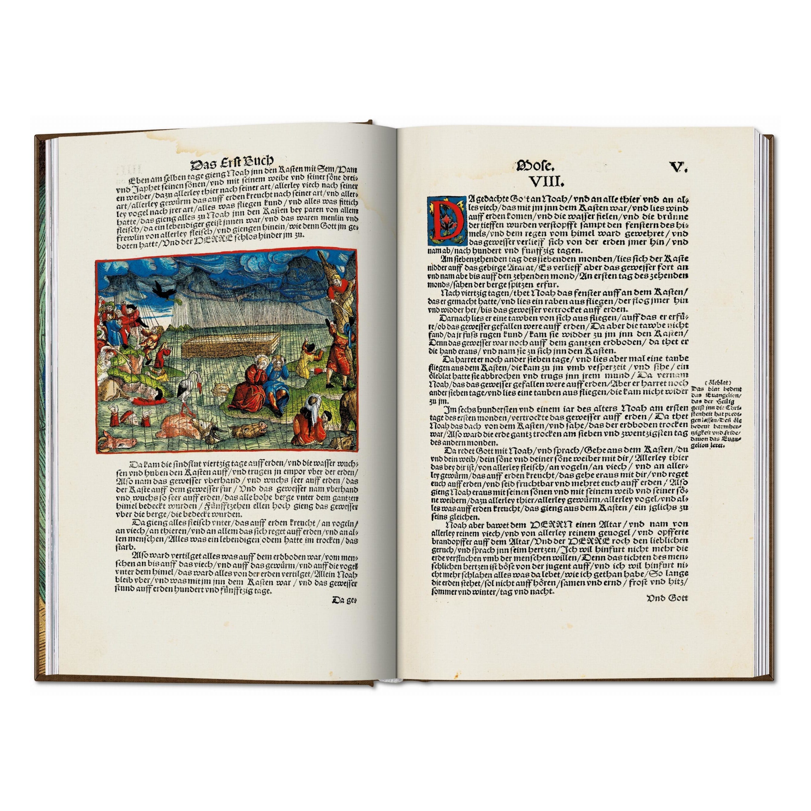 Die Luther-Bibel von 1534 (German, English)