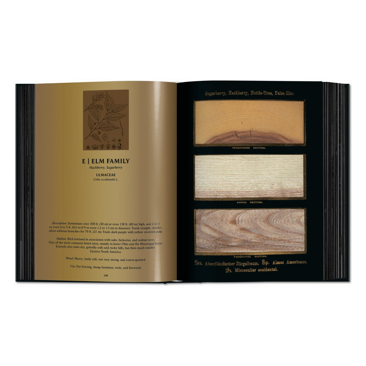 Romeyn B. Hough: The Woodbook. The Complete Plates