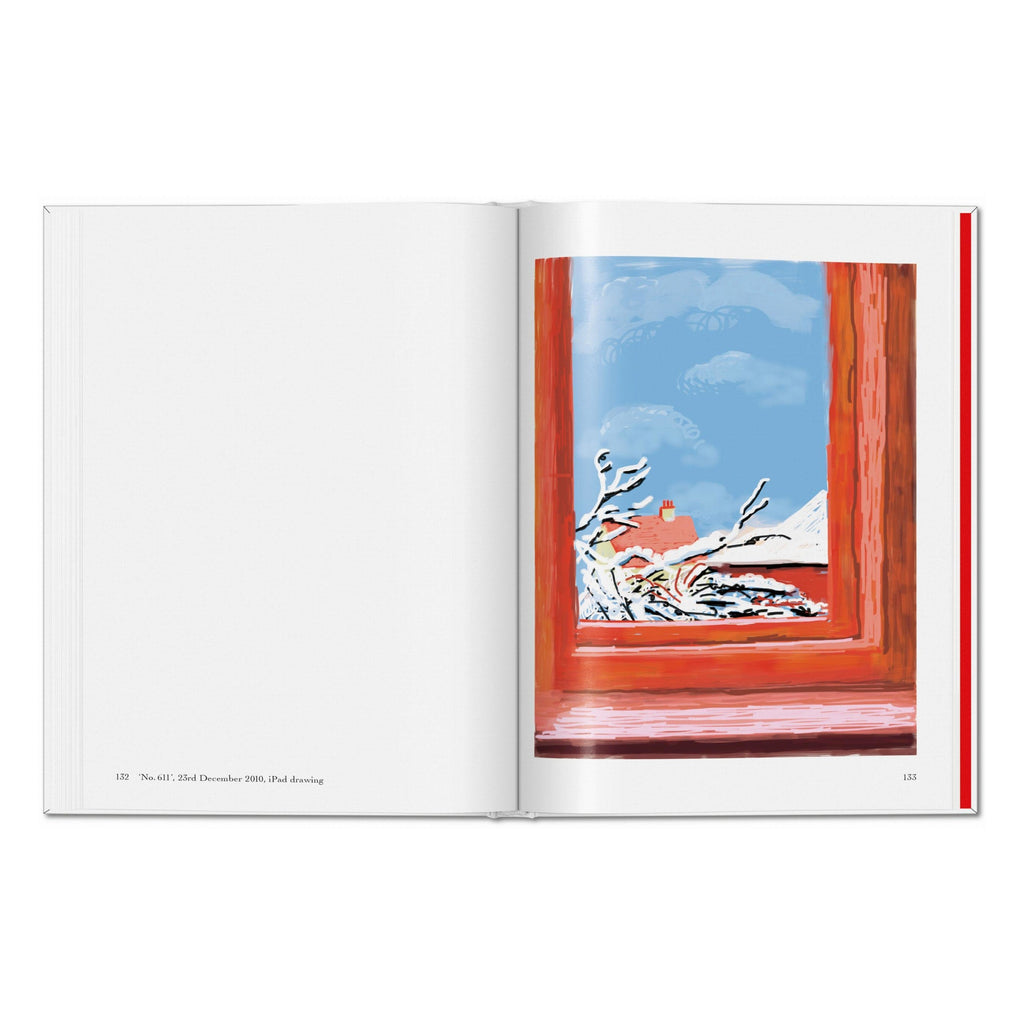 David Hockney: My Window