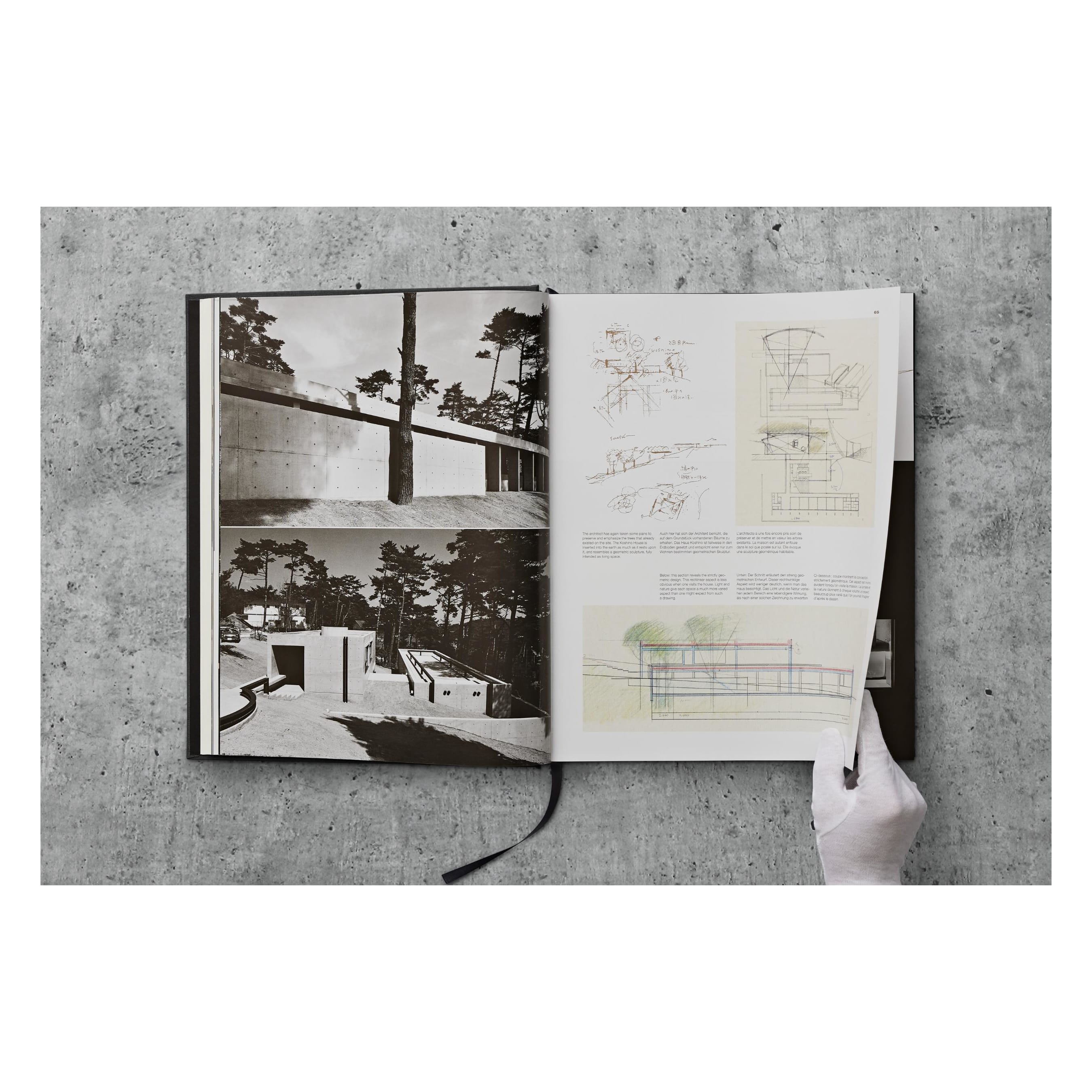 Ando: Complete Works 1975–Today, 2023 Edition (German, French, English)