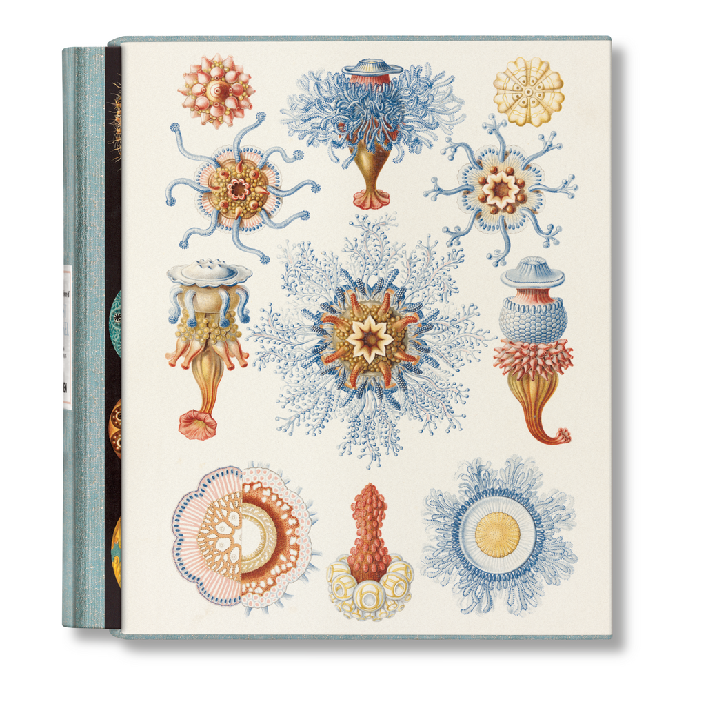 The Art and Science of Ernst Haeckel (German, French, English)