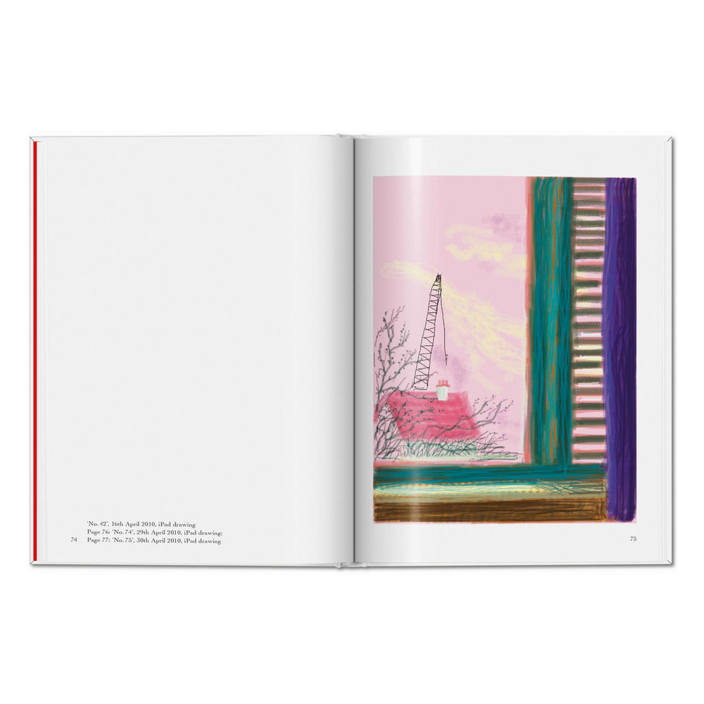 David Hockney: My Window