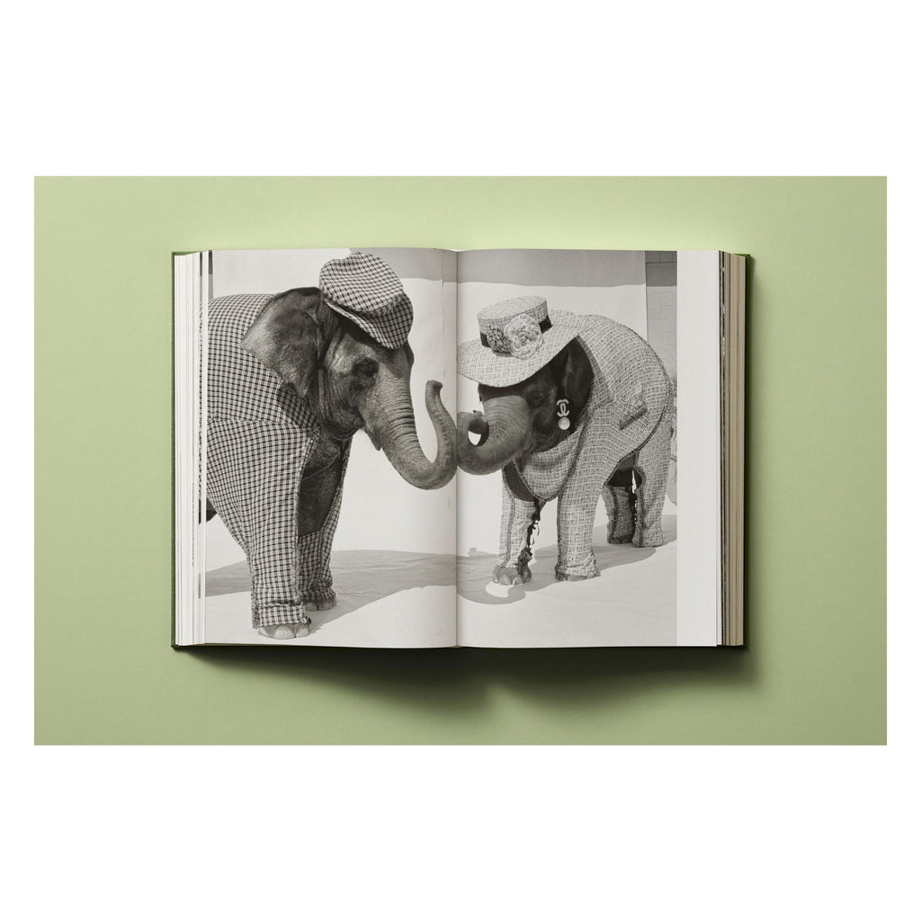 Bruce Weber: My Education (German, French, English)