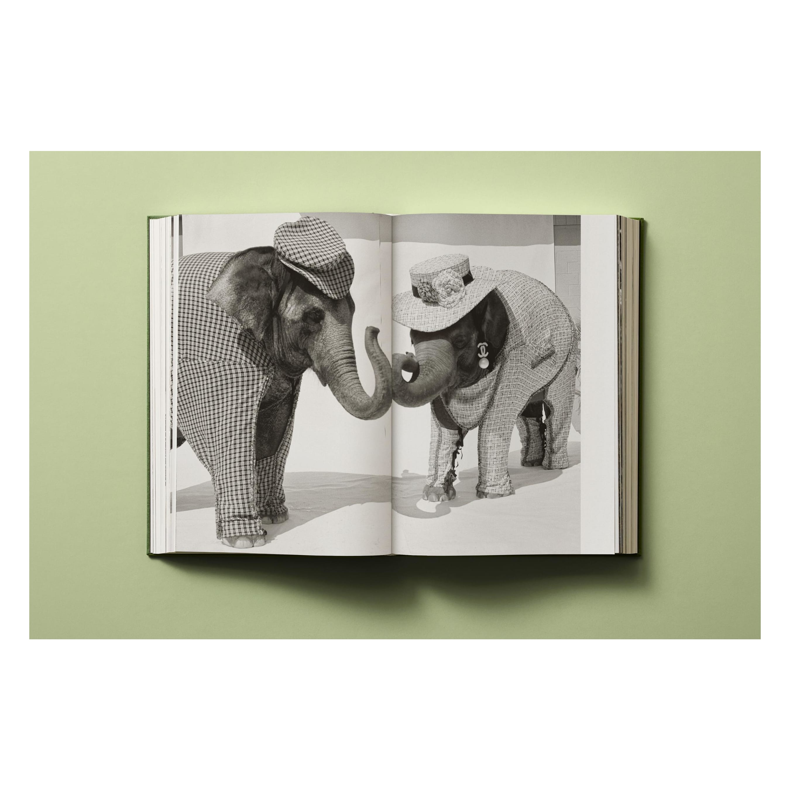 Bruce Weber: My Education (German, French, English)