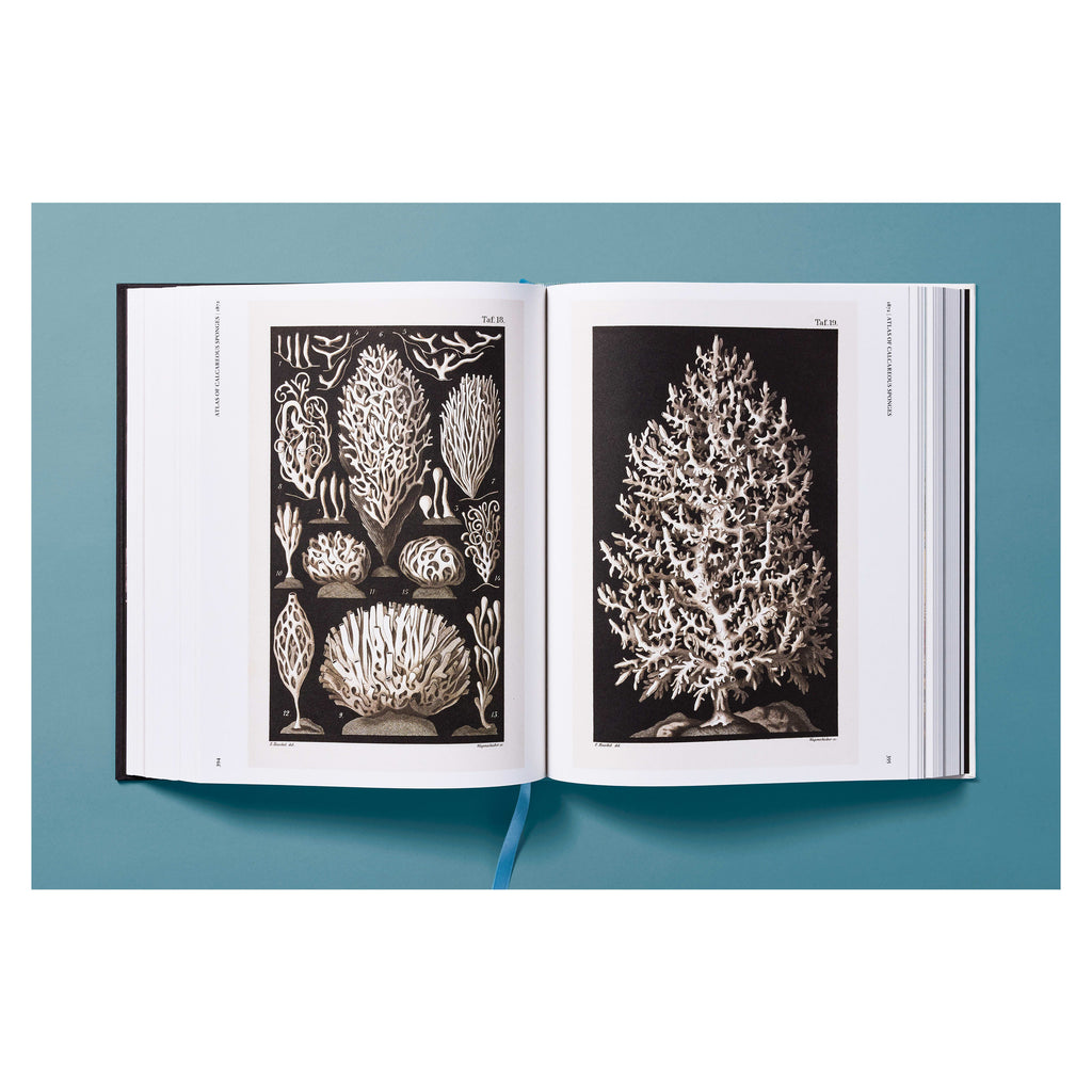 The Art and Science of Ernst Haeckel (German, French, English)