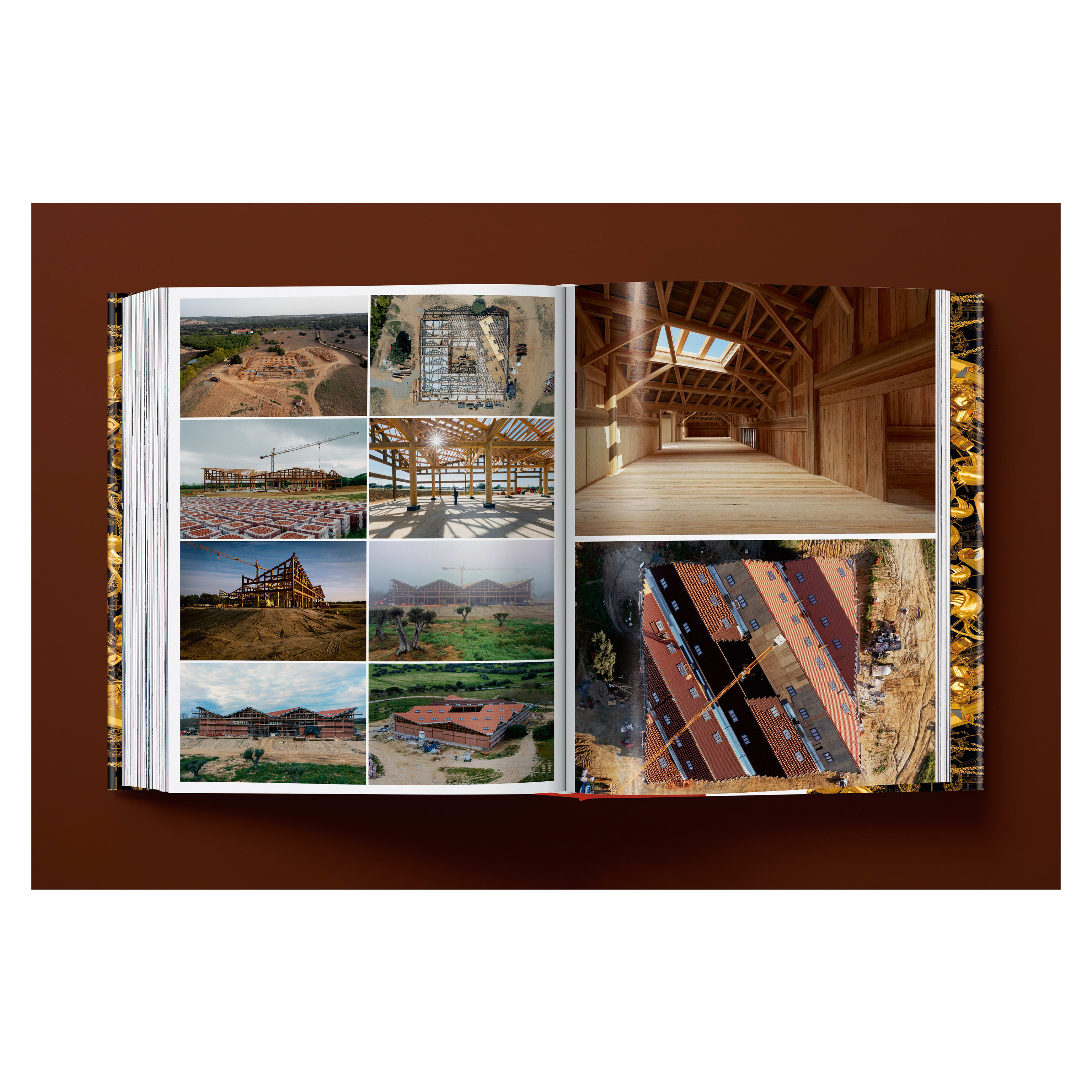 Ai Weiwei: Updated Edition (German, French, English)