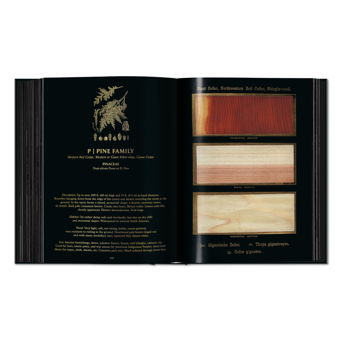 Romeyn B. Hough: The Woodbook. The Complete Plates