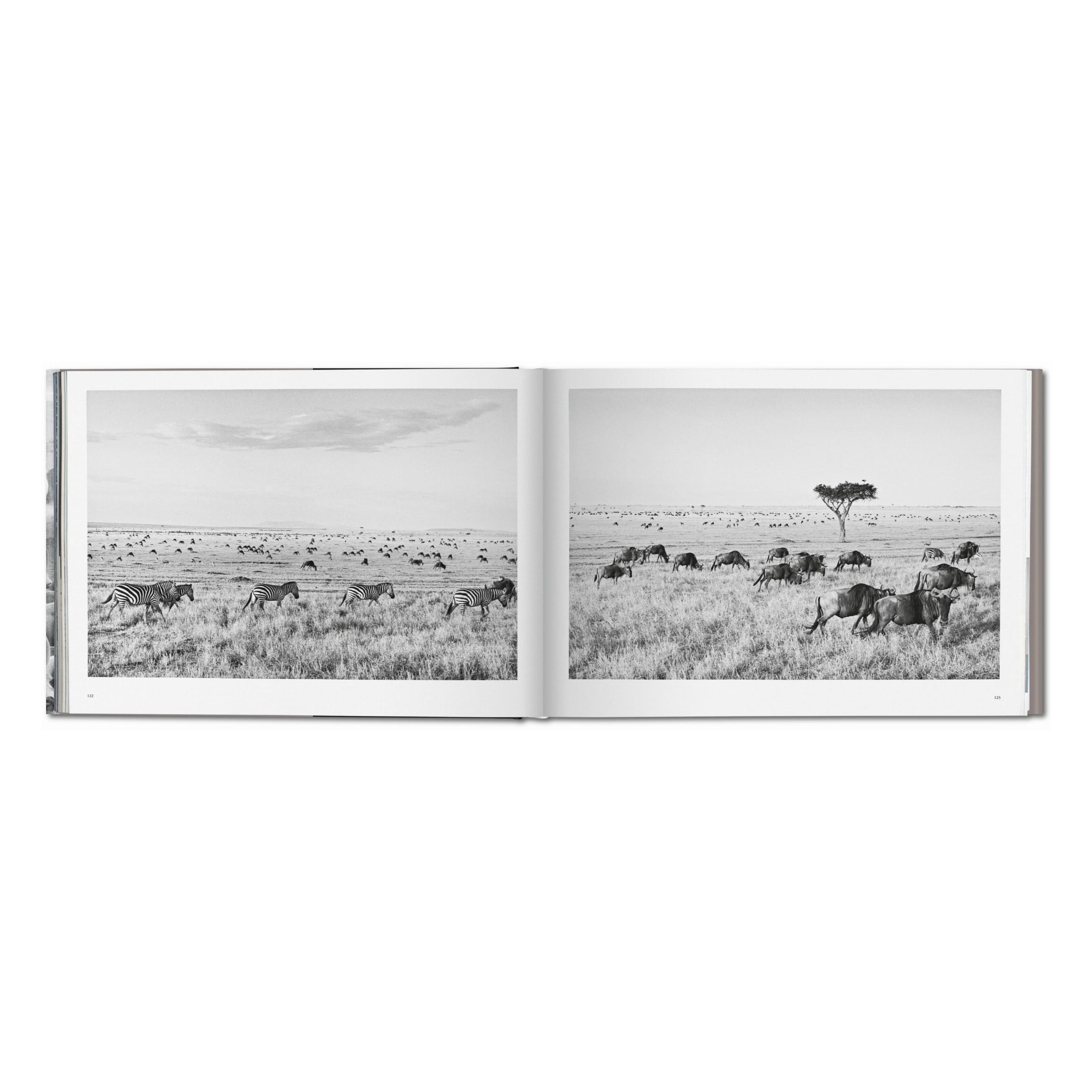 Sebastião Salgado: Africa (German, French, English)