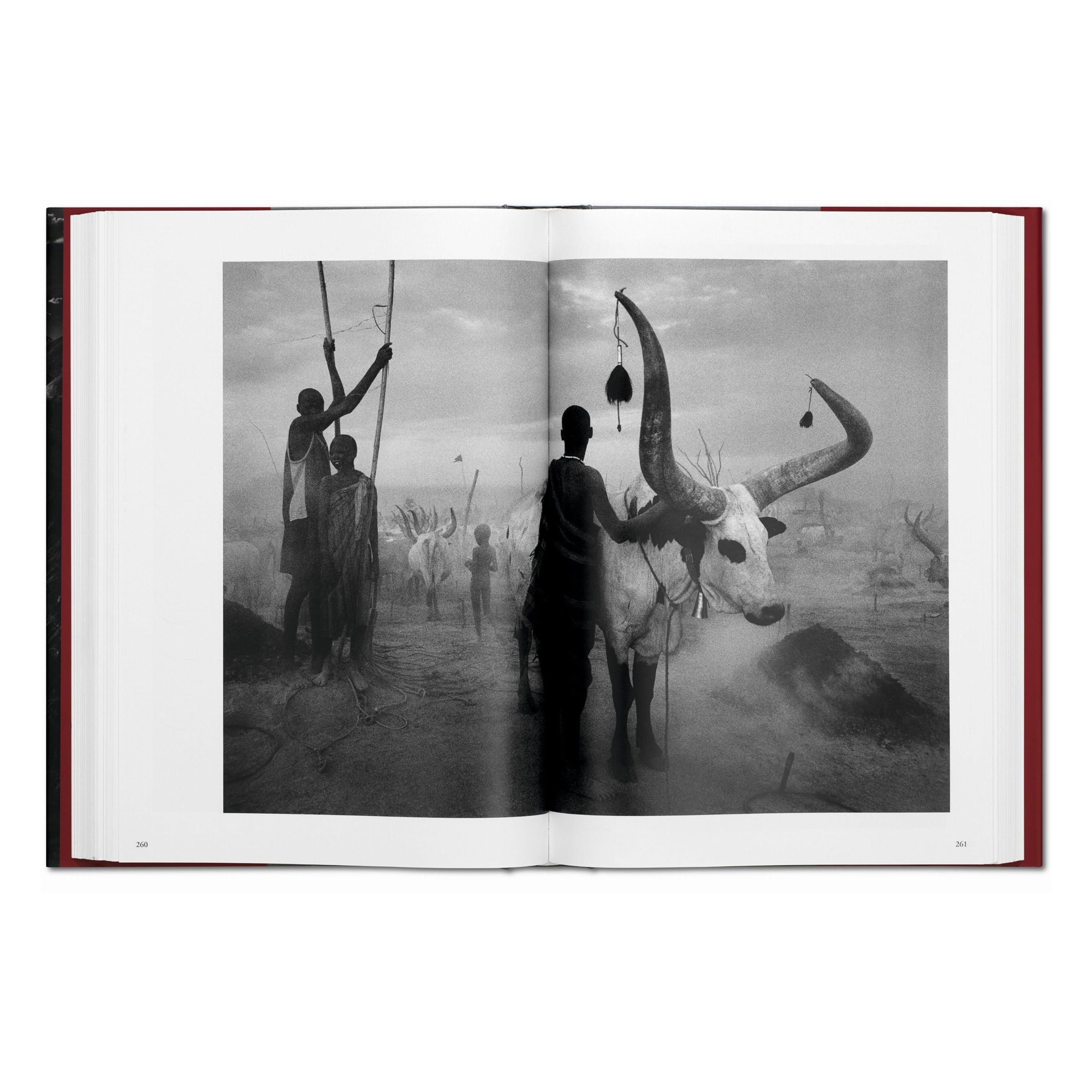 Sebastião Salgado: Genesis