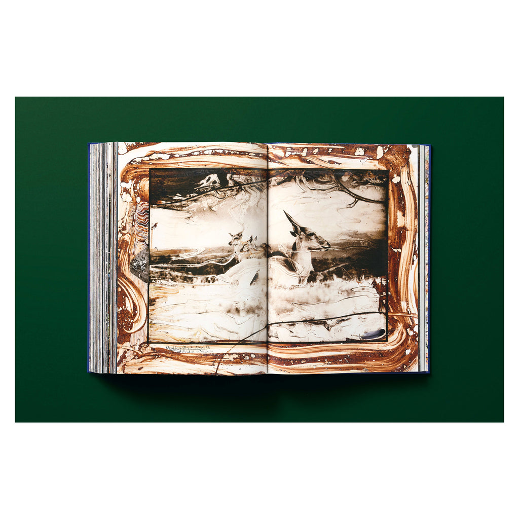 Peter Beard (German, French, English)