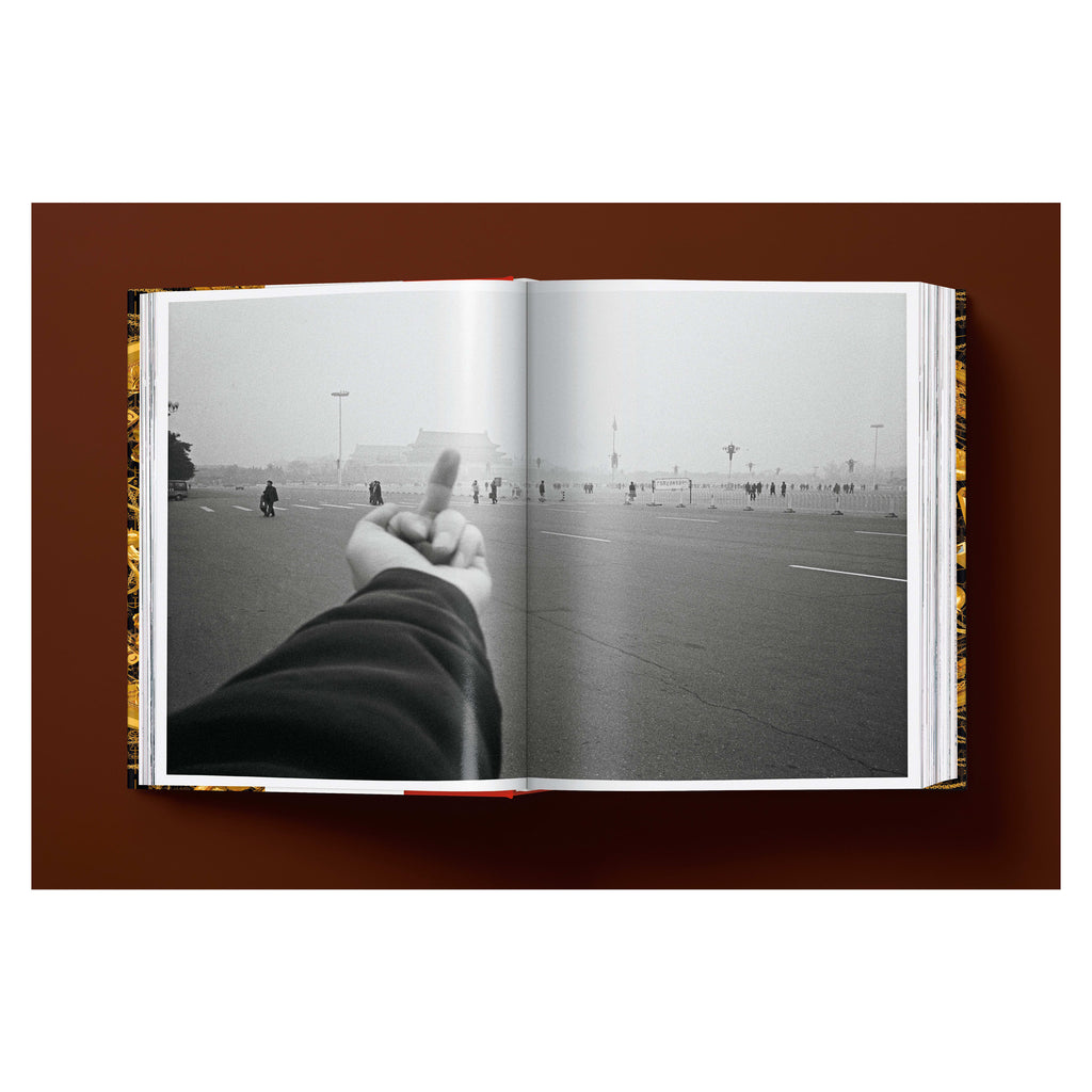 Ai Weiwei: Updated Edition (German, French, English)