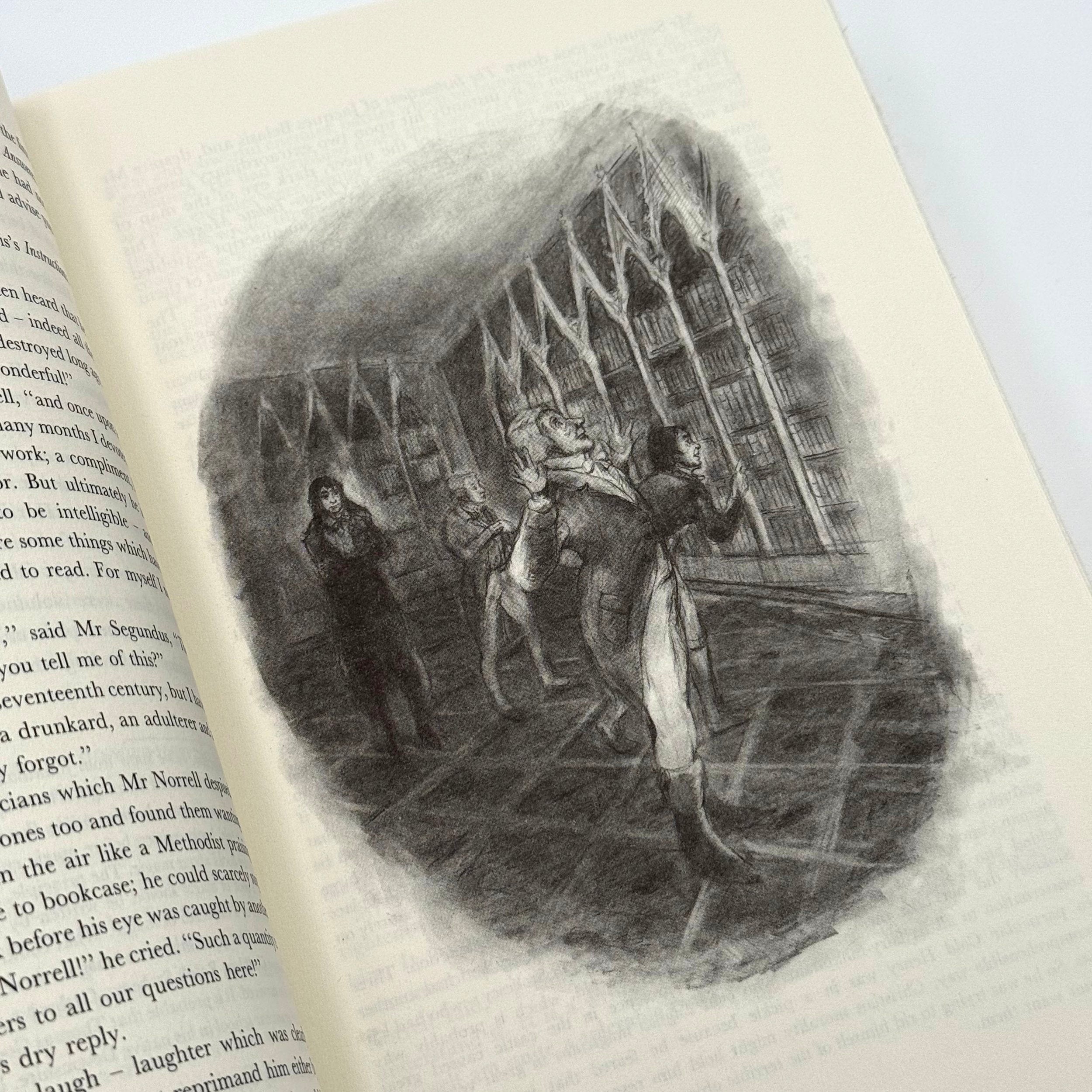 Illustration of a person in a library on an open book