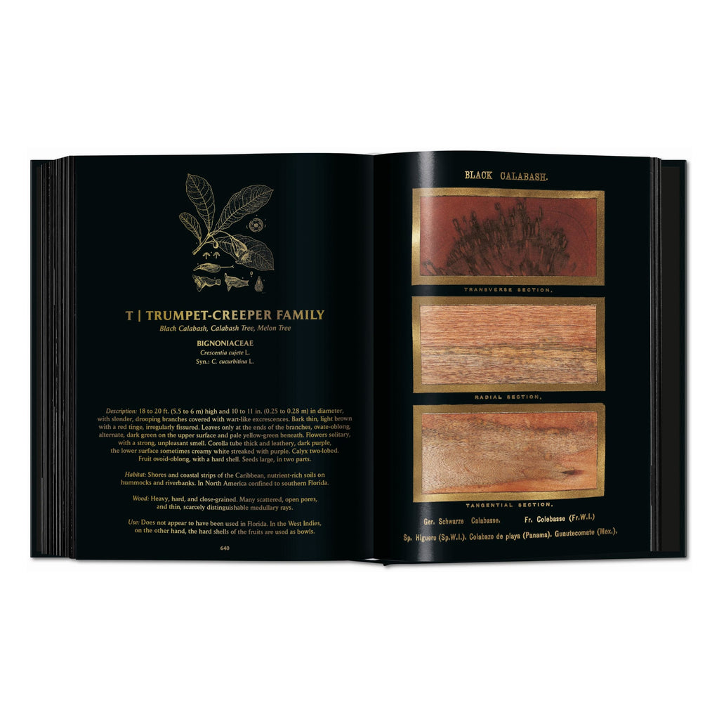 Romeyn B. Hough: The Woodbook. The Complete Plates