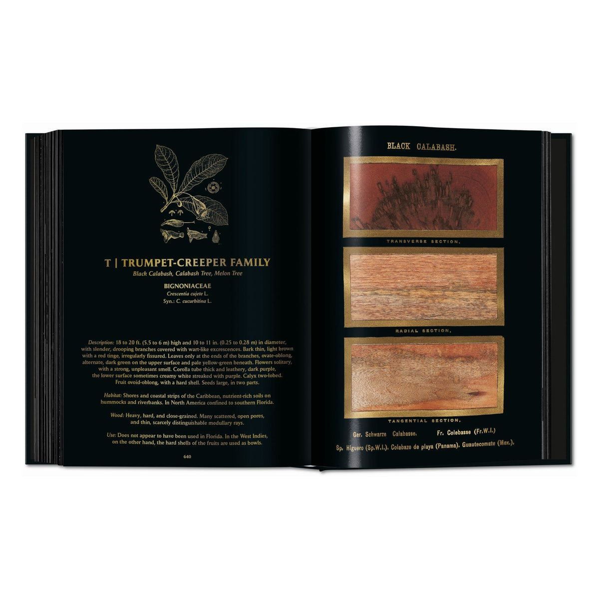 Romeyn B. Hough: The Woodbook. The Complete Plates