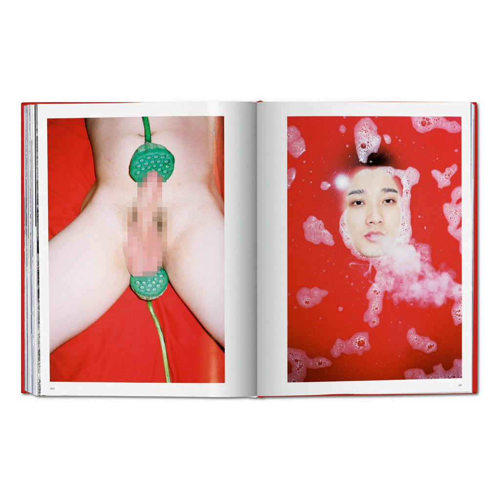 Ren Hang (German, French, English)