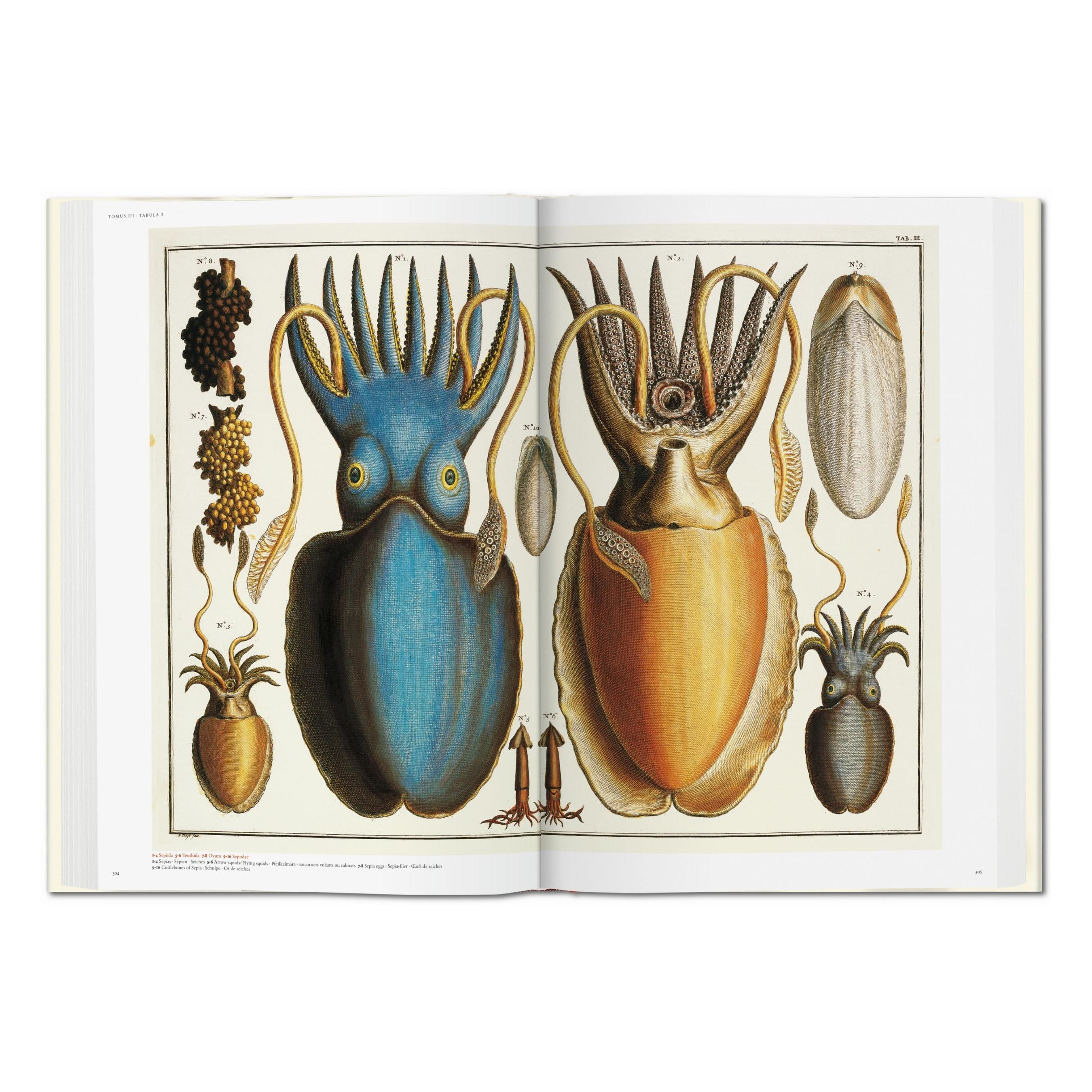Seba: Cabinet of Natural Curiosities (German, French, English)