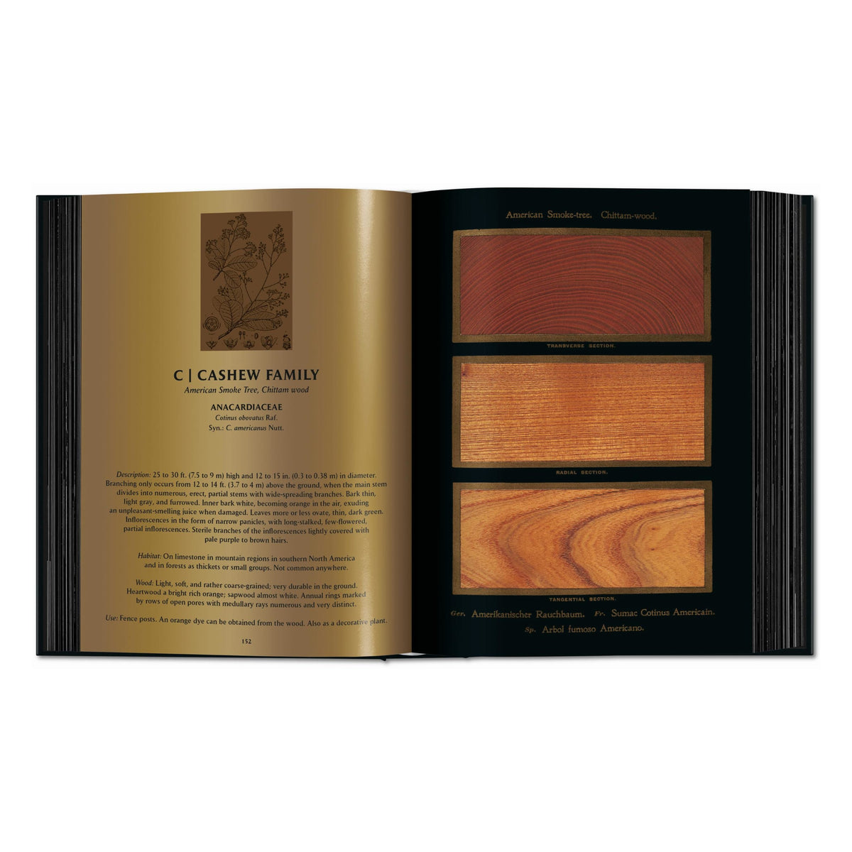 Romeyn B. Hough: The Woodbook. The Complete Plates