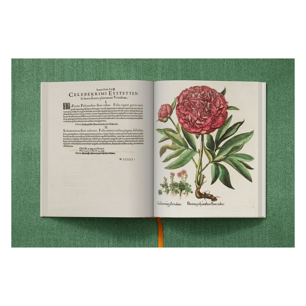 Basilius Besler: The Garden at Eichstätt (German, French, English)