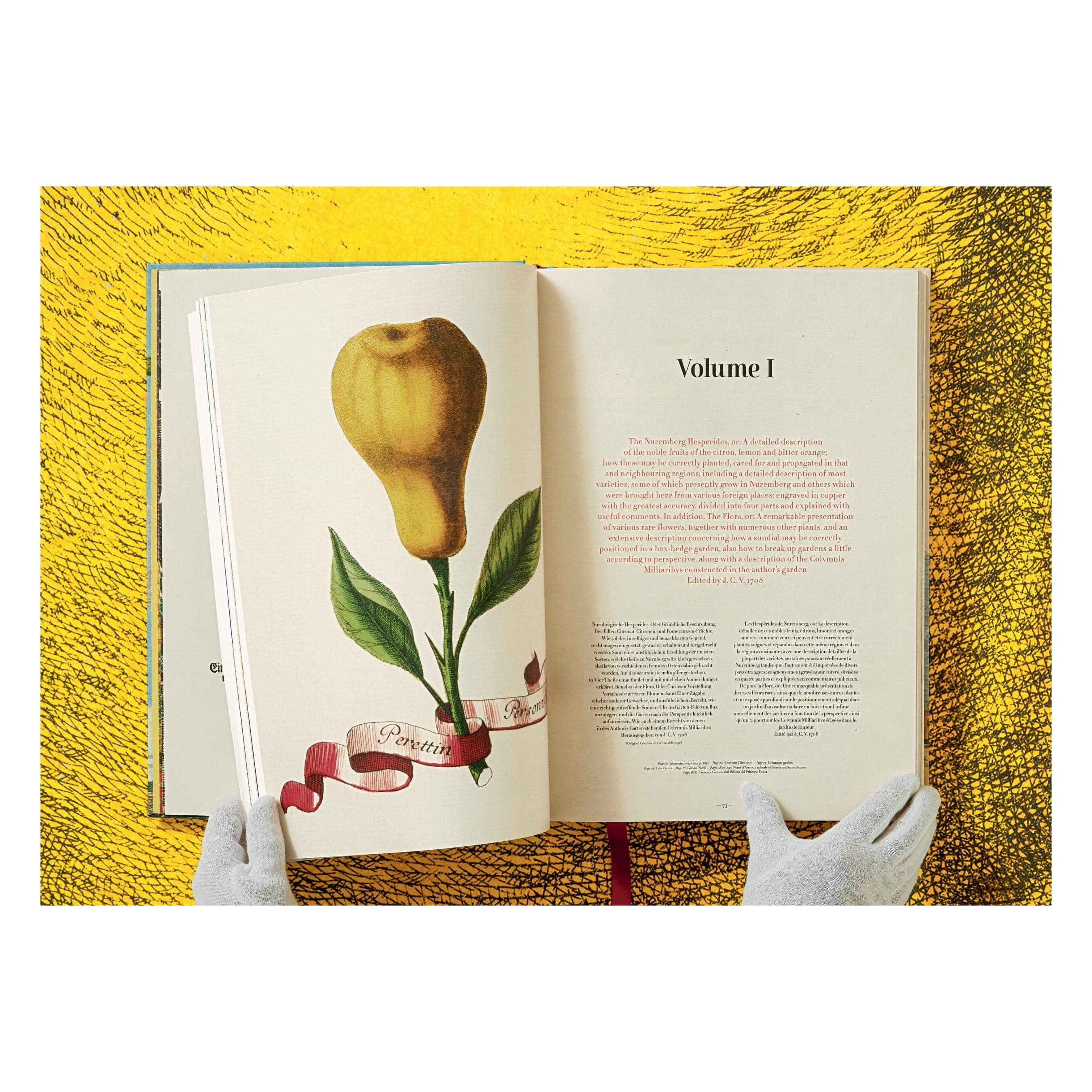 J. C. Volkamer: The Book of Citrus Fruits (German, French, English)