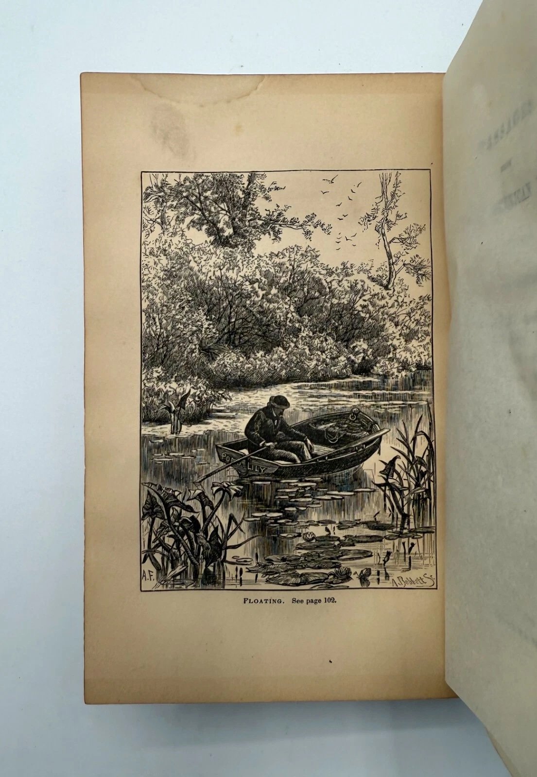 Illustration of a person in a boat on a lake with trees and birds, from a book.