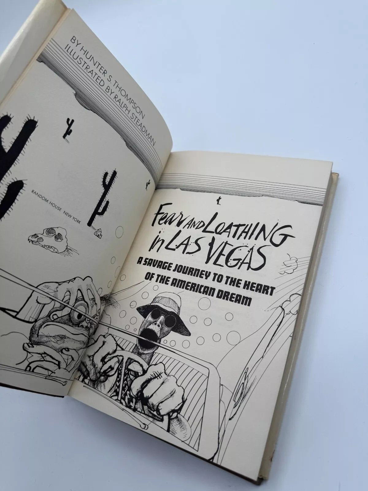 Open book with black and white illustrations on a light blue background