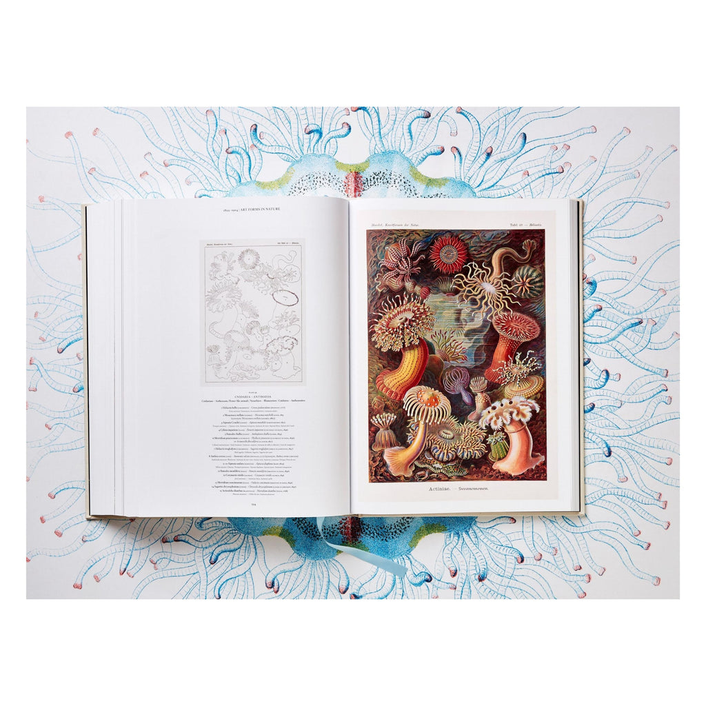 The Art and Science of Ernst Haeckel (German, French, English)