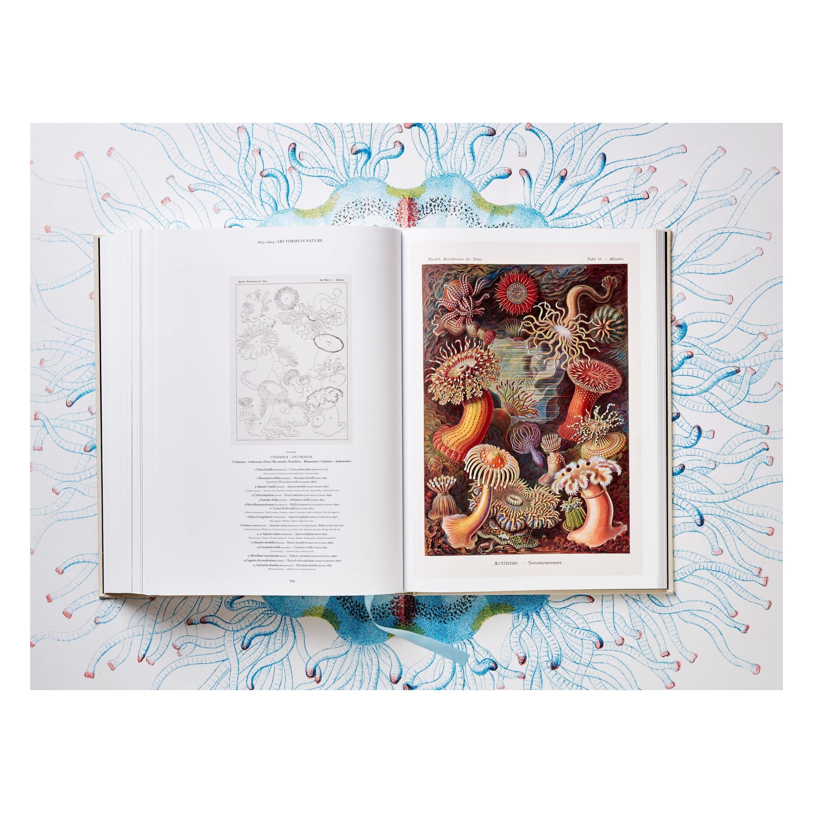 The Art and Science of Ernst Haeckel (German, French, English)